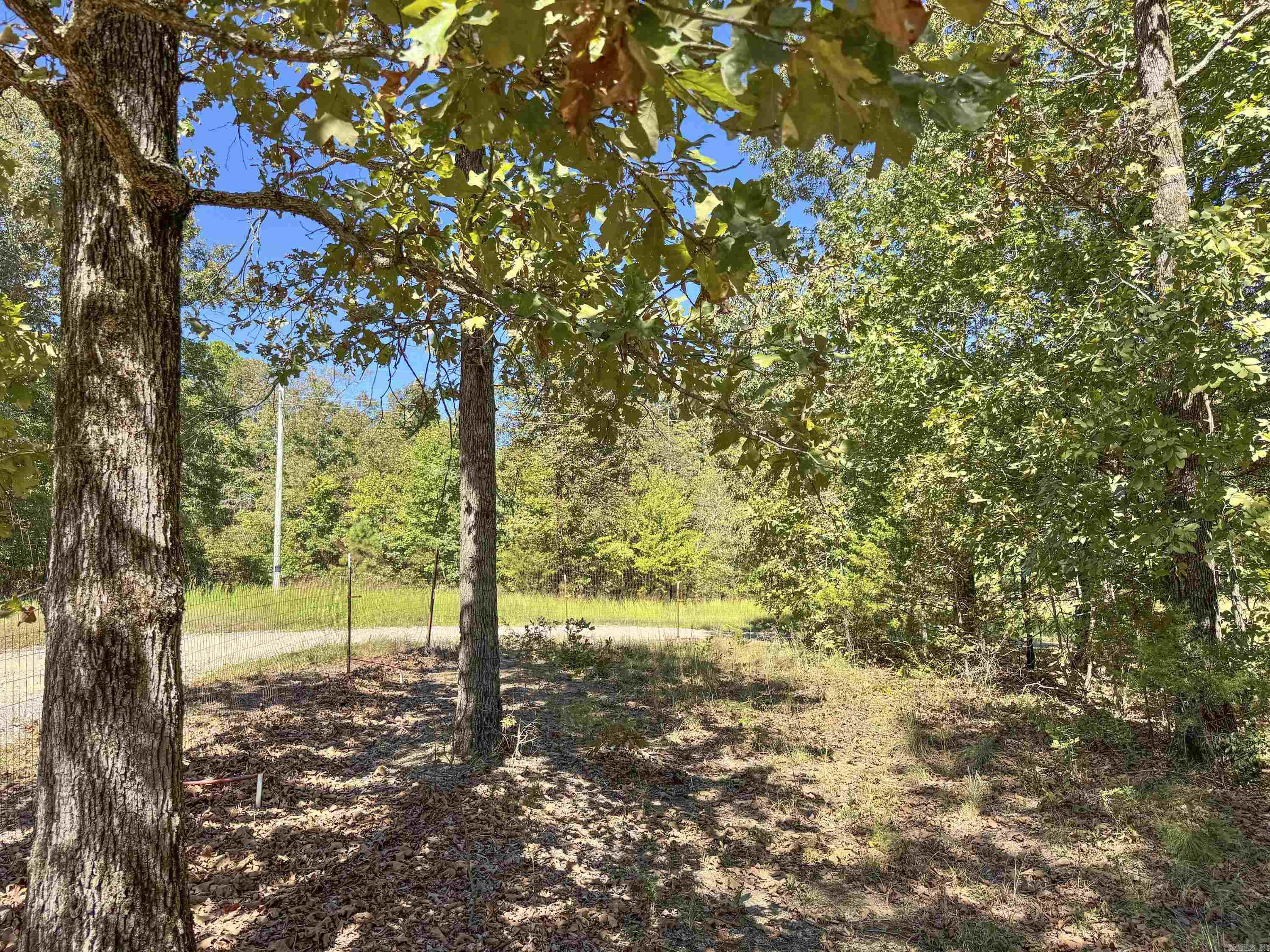 80 Landrum  Quitman, AR