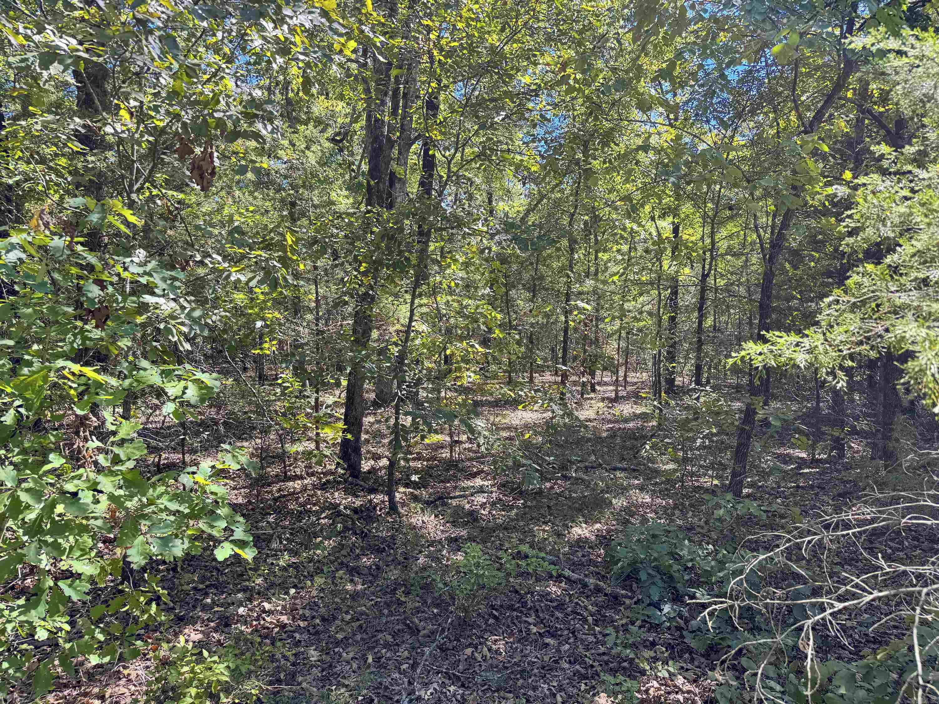 80 Landrum  Quitman, AR