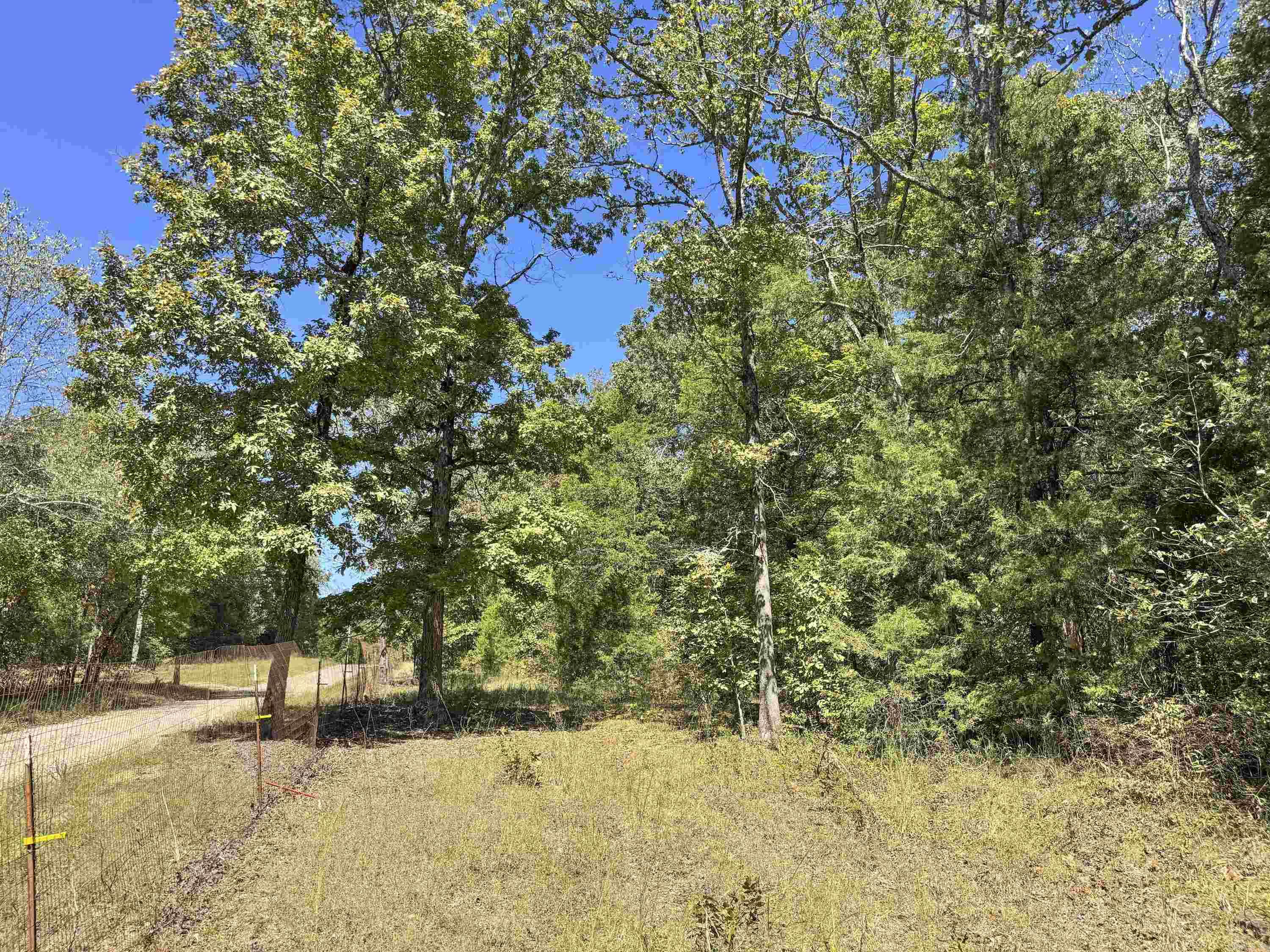 80 Landrum  Quitman, AR