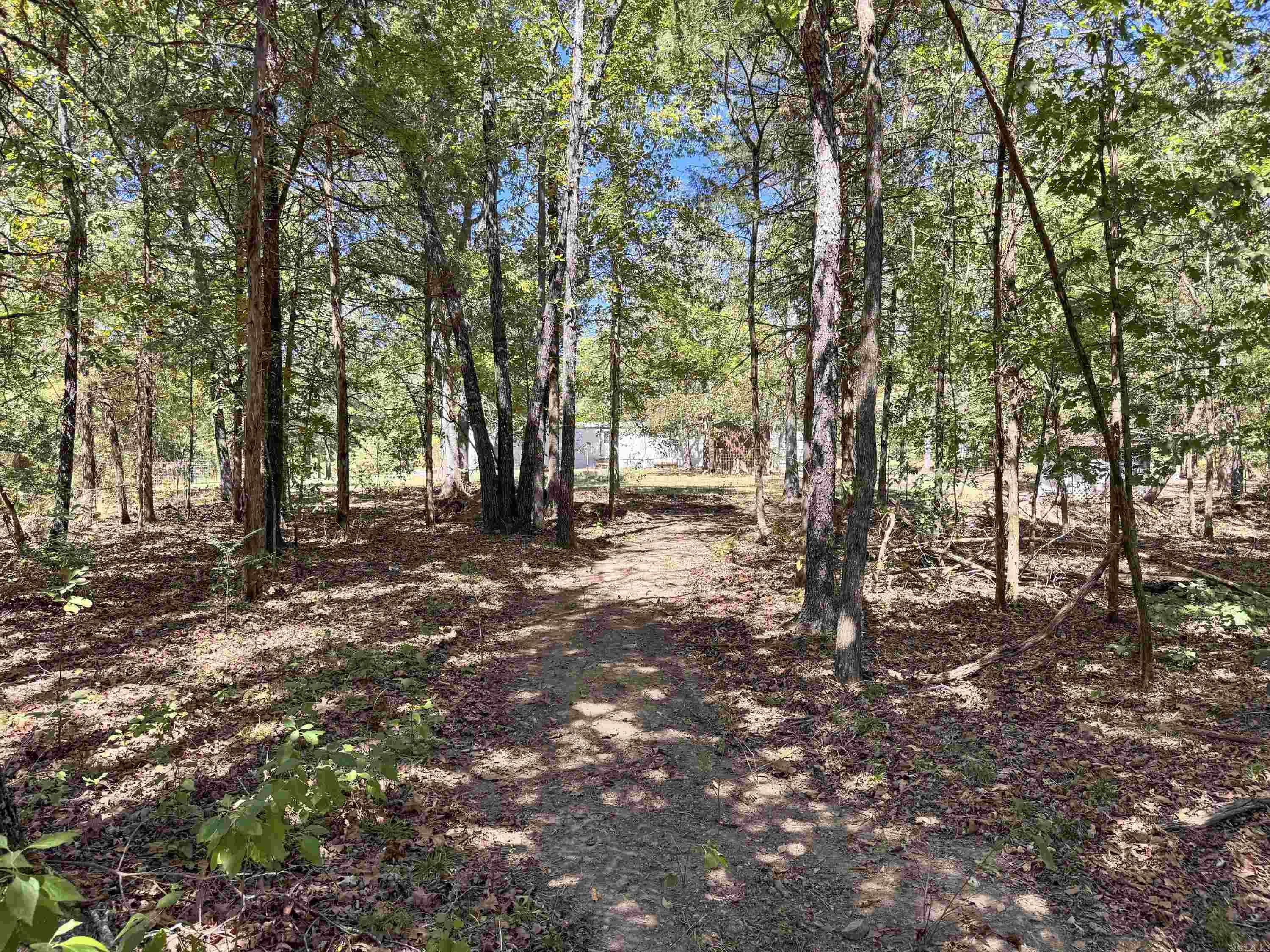80 Landrum  Quitman, AR