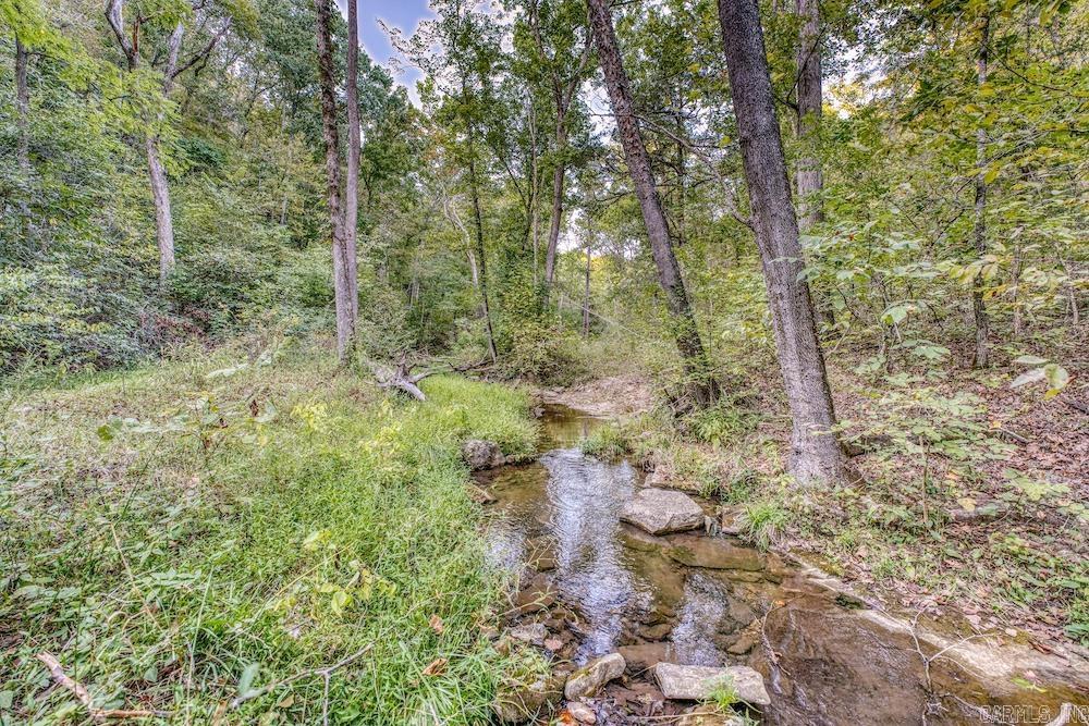 525 Hodge Spring Road Norfork, AR 72658