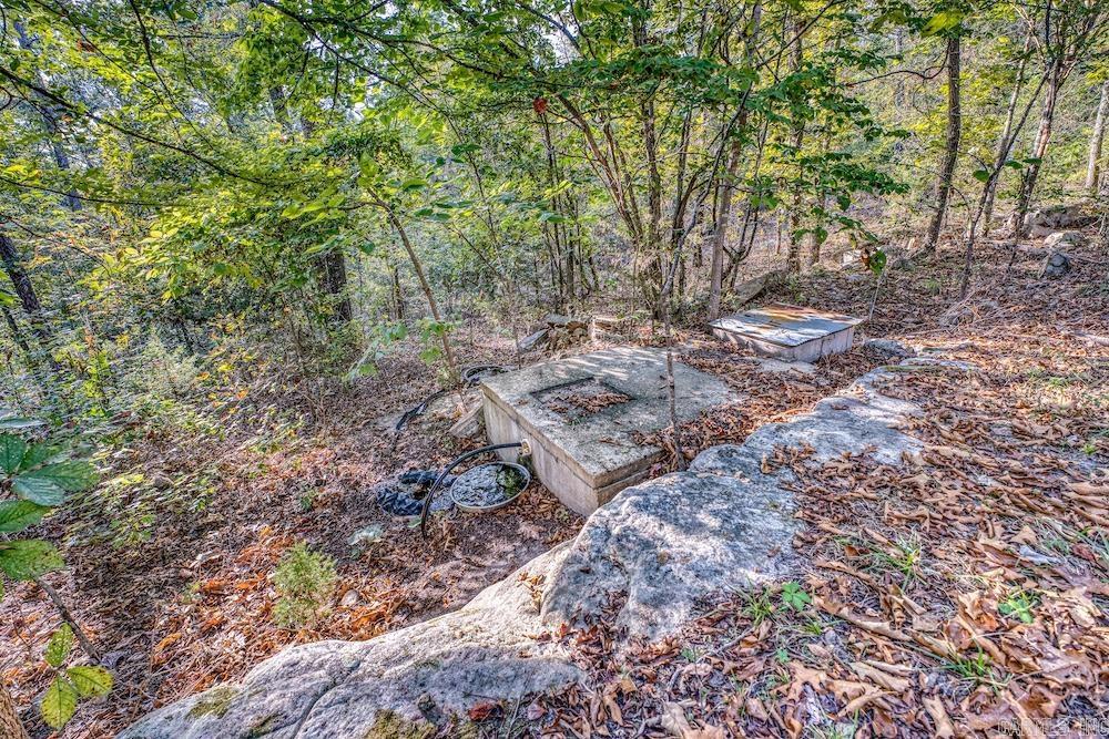 525 Hodge Spring Road Norfork, AR 72658