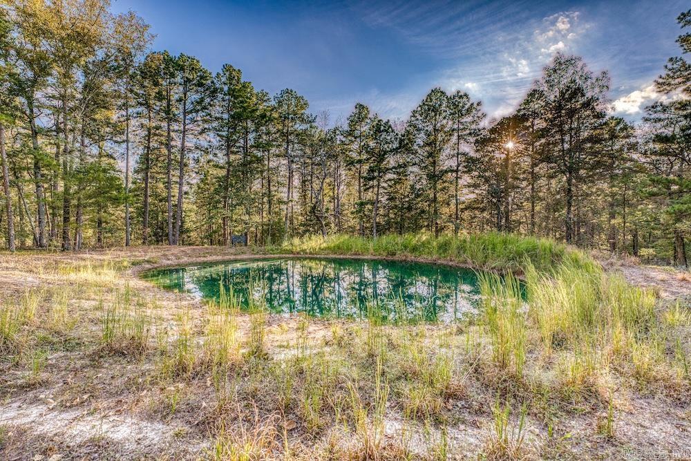 525 Hodge Spring Road Norfork, AR 72658
