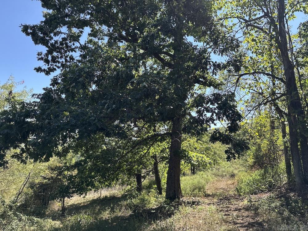 19764 Dubuque Rd  Omaha, AR