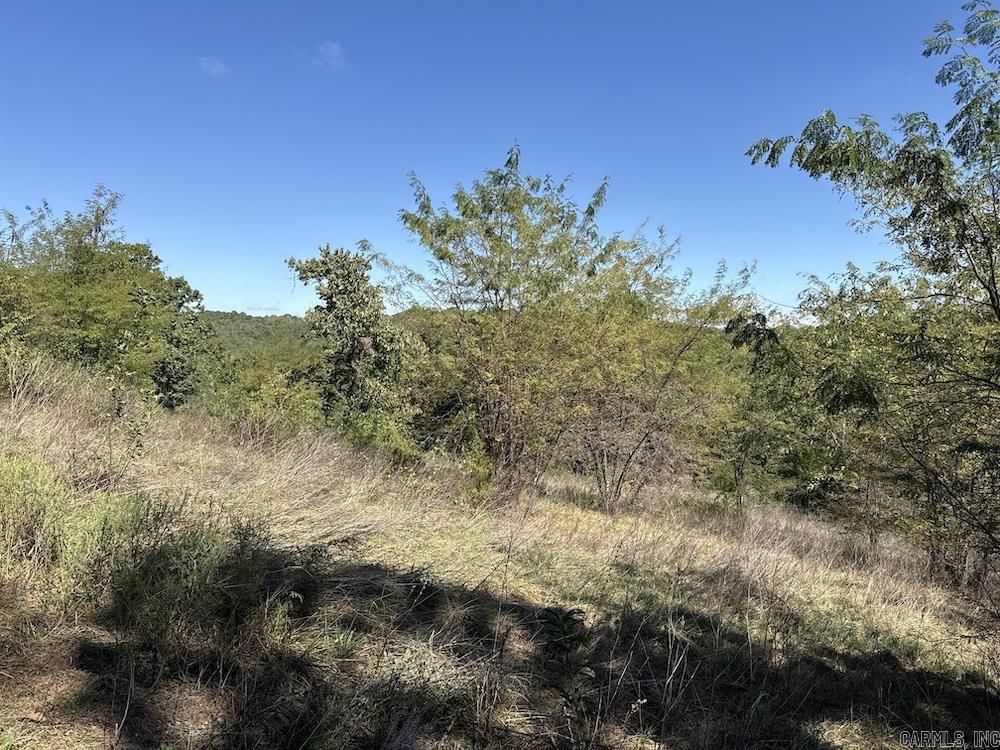 19764 Dubuque Rd  Omaha, AR