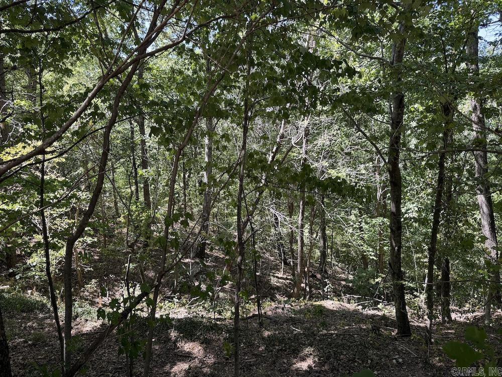 324 NC 8589  Vendor, AR