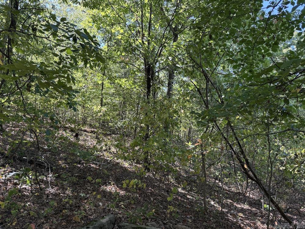 324 NC 8589  Vendor, AR
