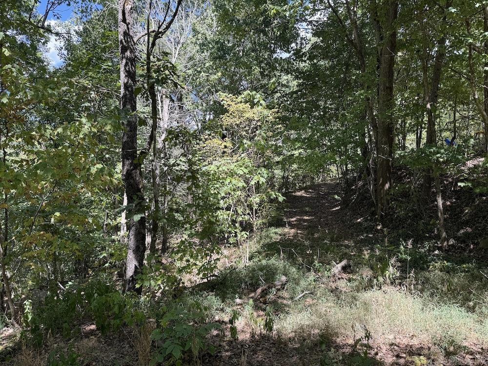 324 NC 8589  Vendor, AR