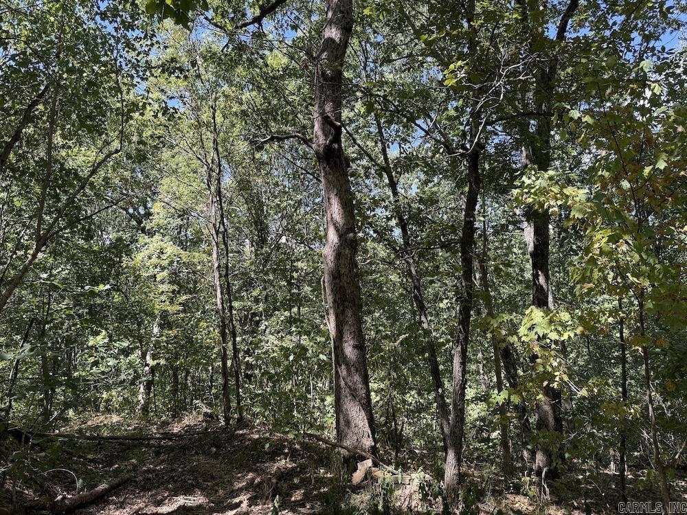 324 NC 8589  Vendor, AR