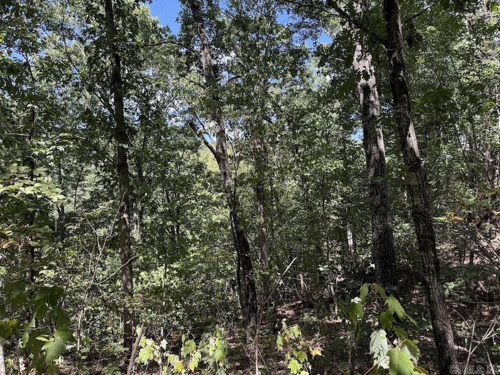 324 NC 8589  Vendor, AR