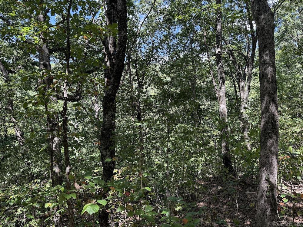 324 NC 8589  Vendor, AR