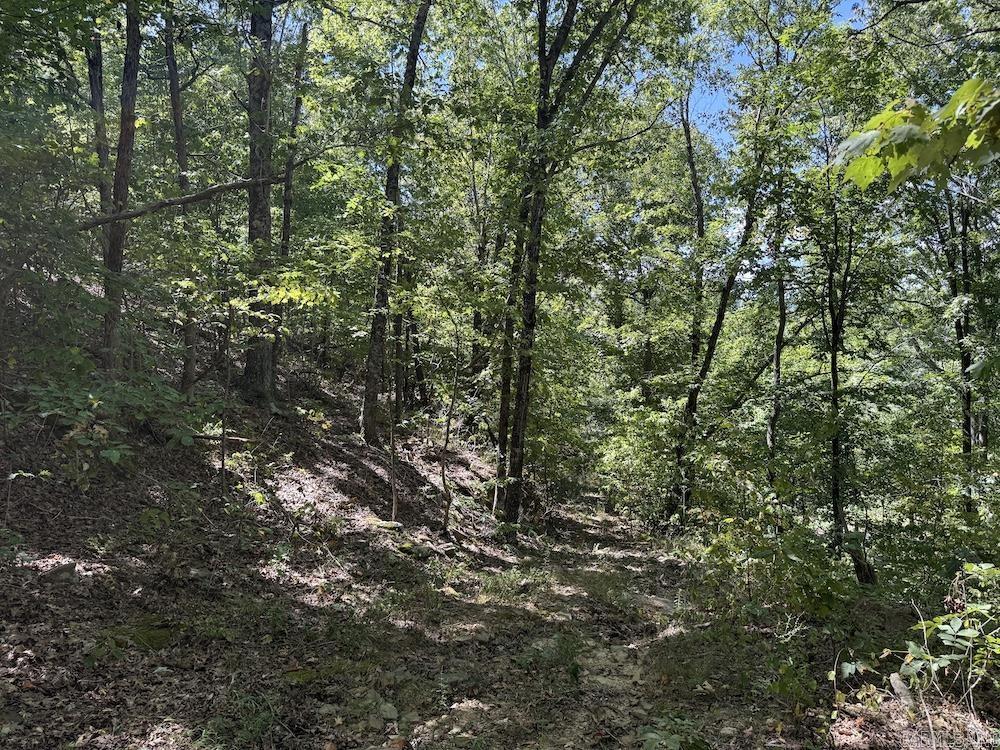 324 NC 8589  Vendor, AR