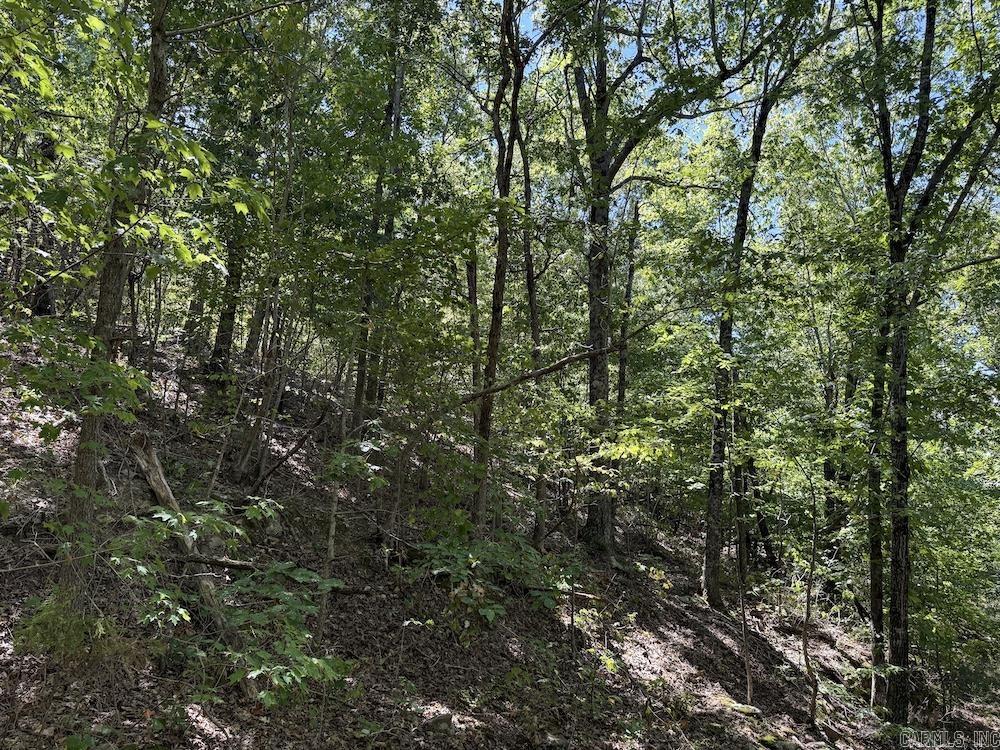 324 NC 8589  Vendor, AR