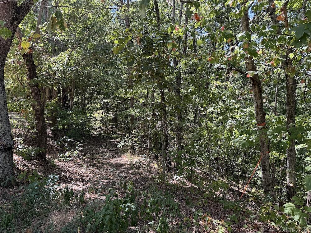 324 NC 8589  Vendor, AR