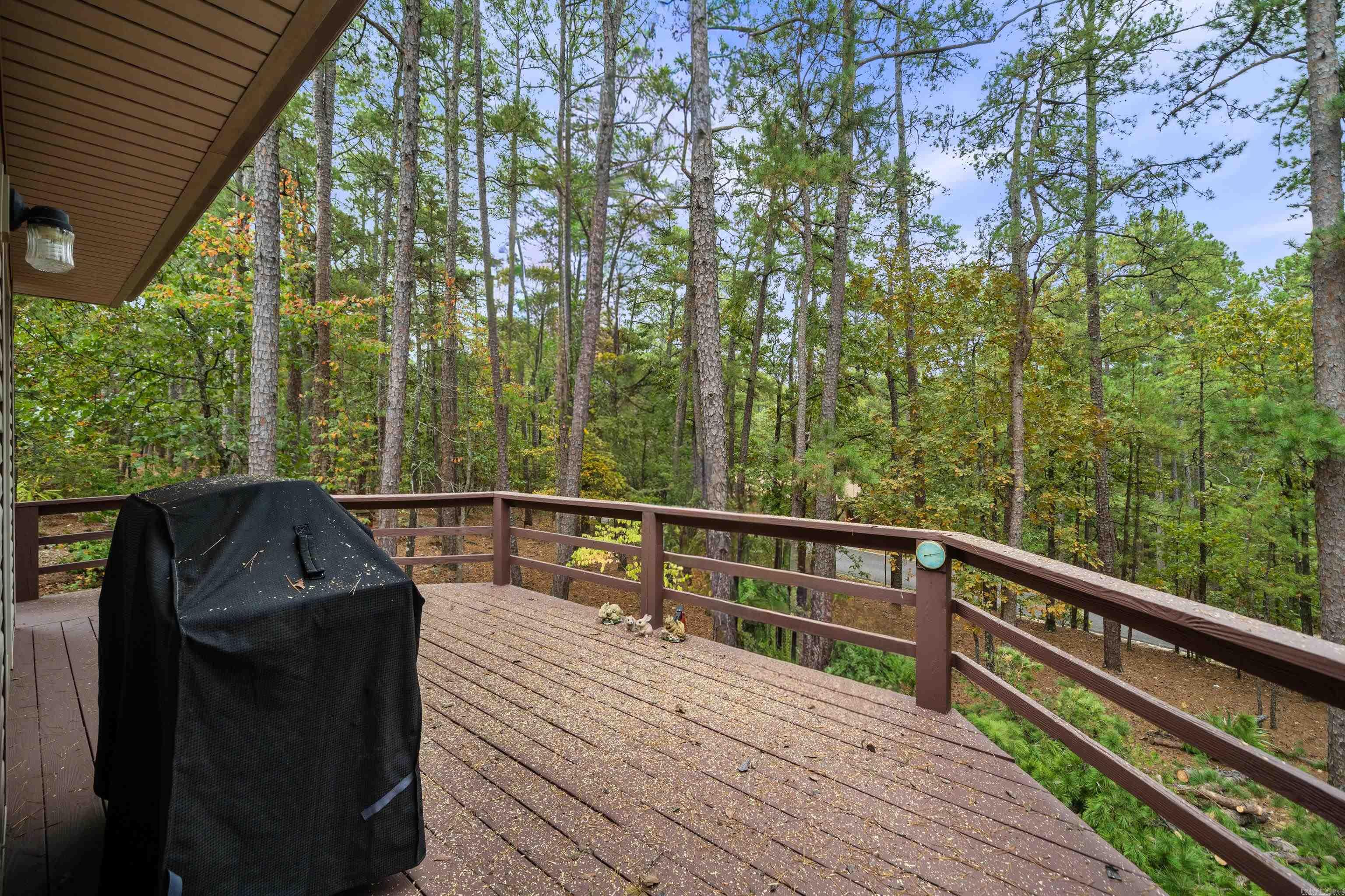 8 Lopez Circle Hot Springs Village, AR 71909-0000
