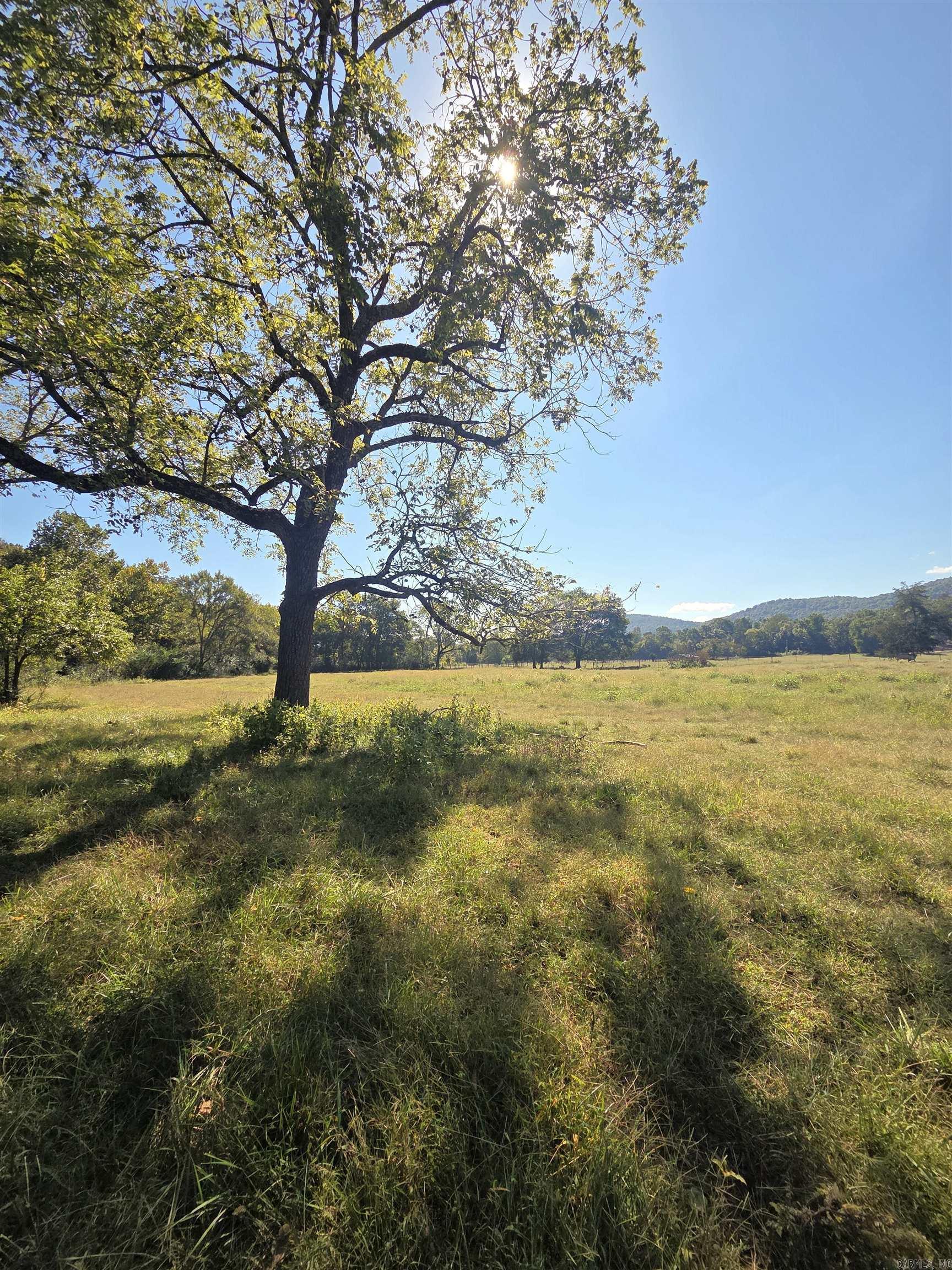 471 Polk Road 50  Mena, AR
