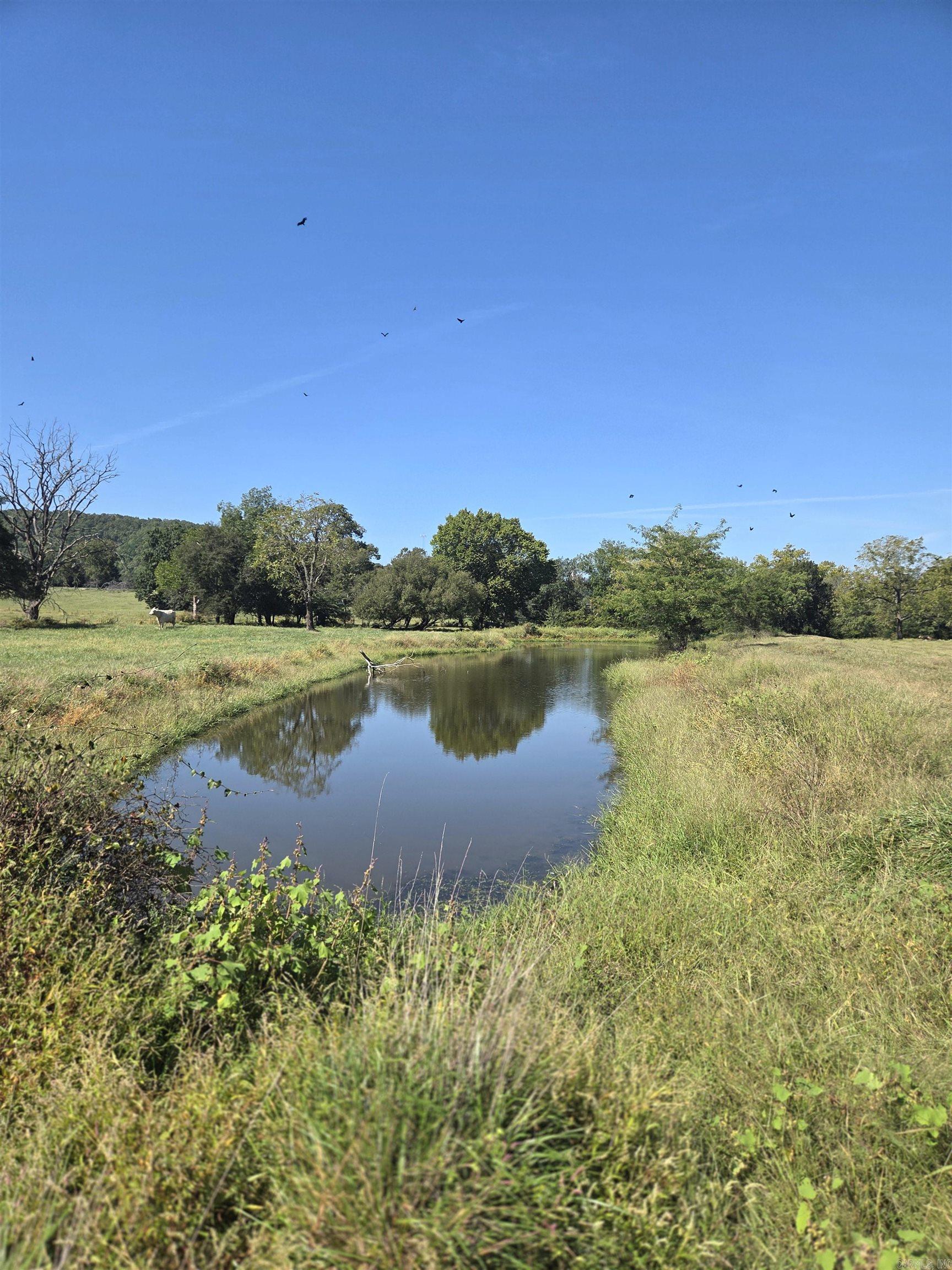 471 Polk Road 50  Mena, AR