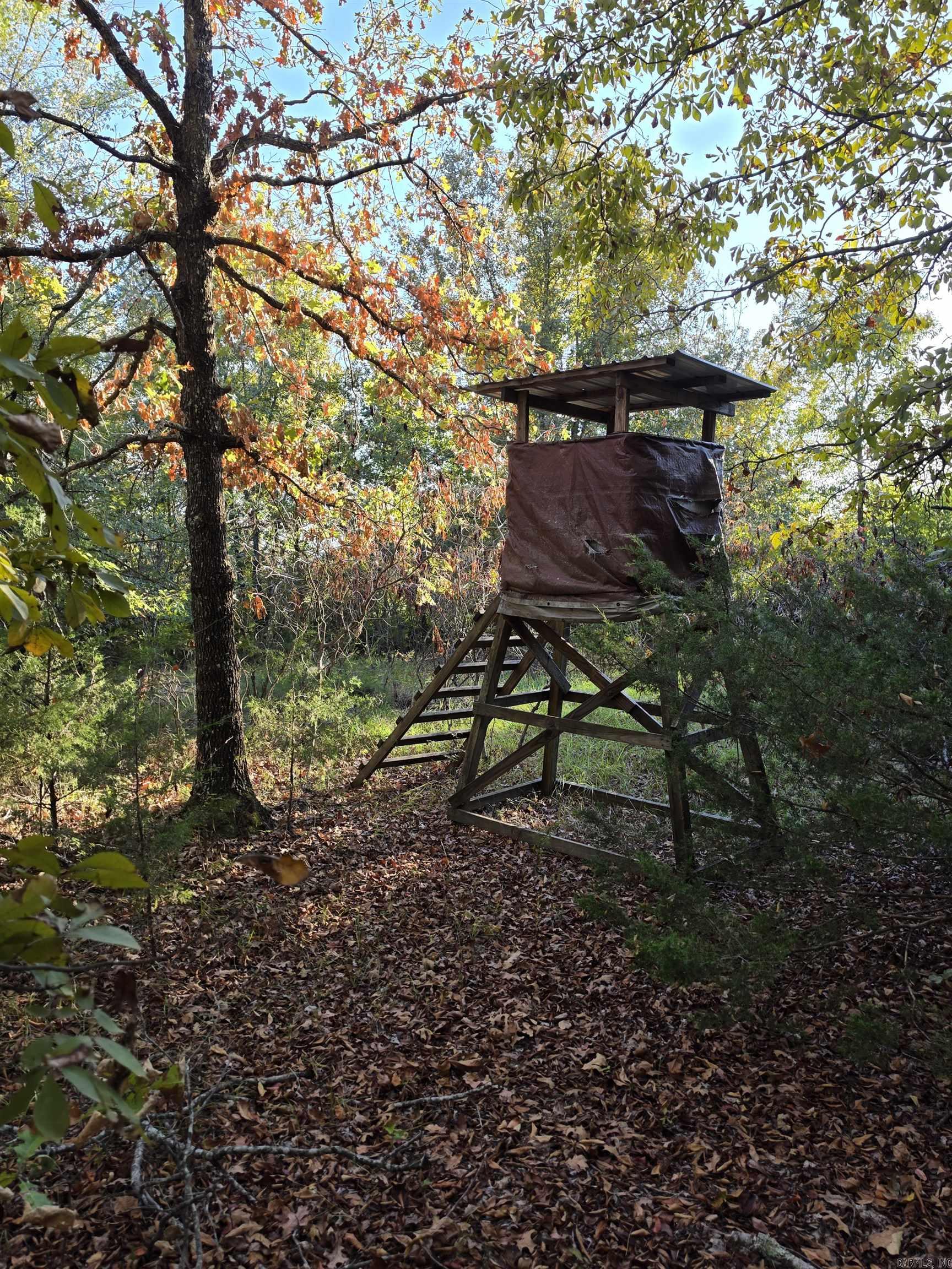 1195 Hwy 5  Romance, AR