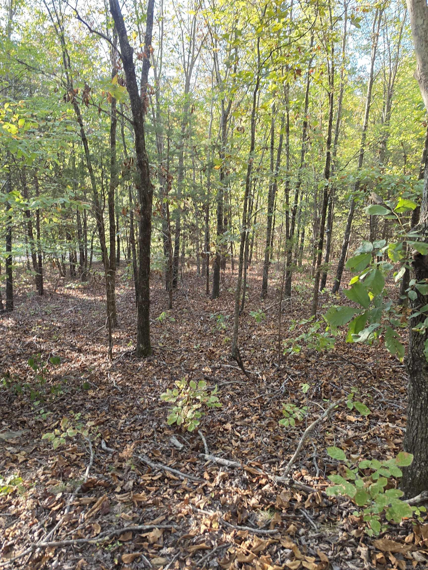 1195 Hwy 5  Romance, AR