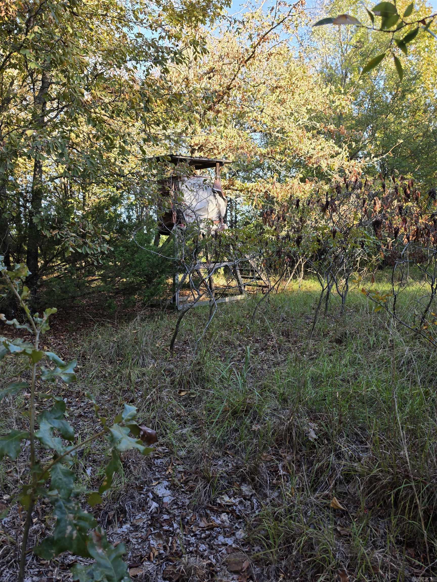 1195 Hwy 5  Romance, AR