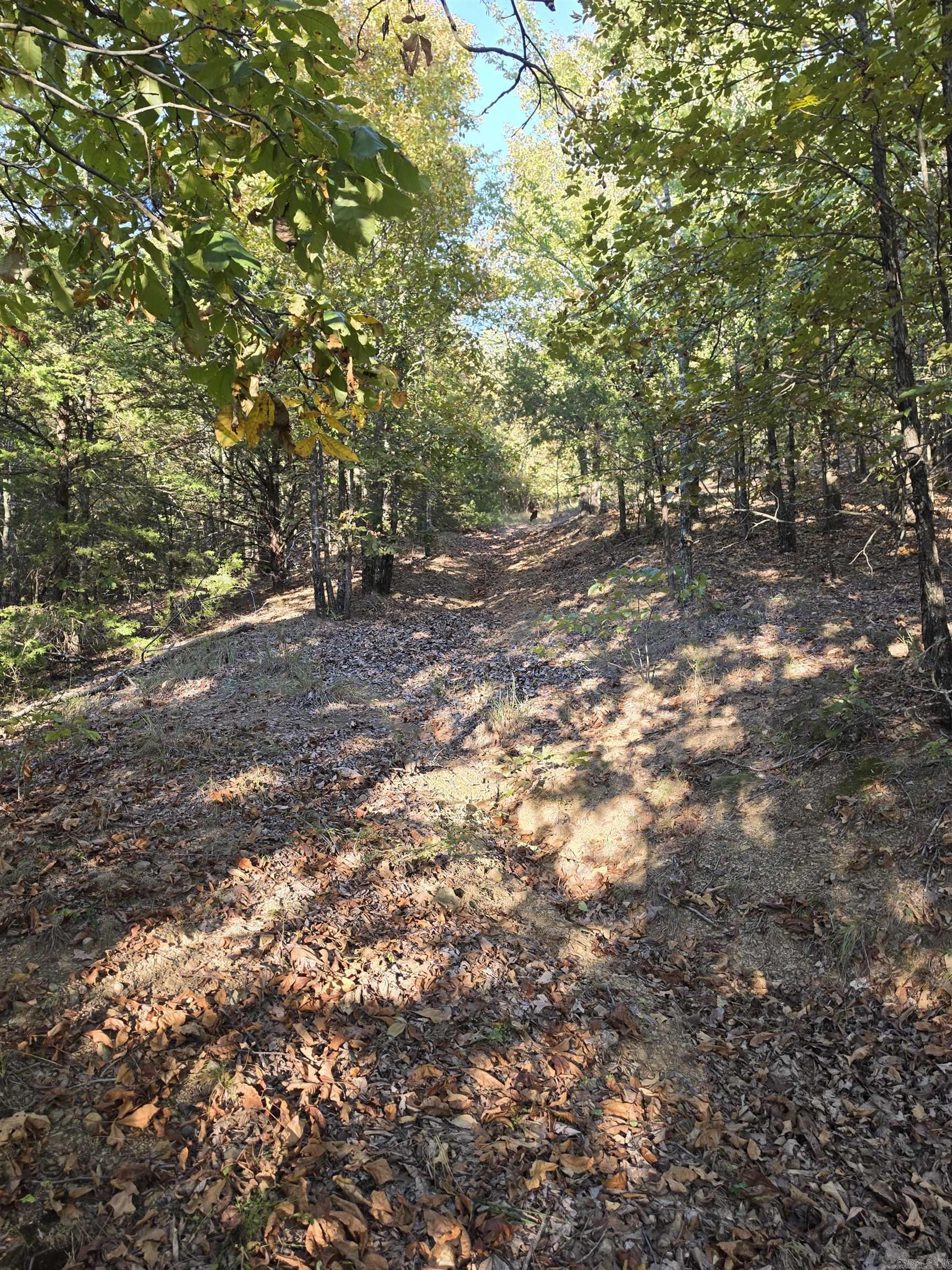 1195 Hwy 5  Romance, AR