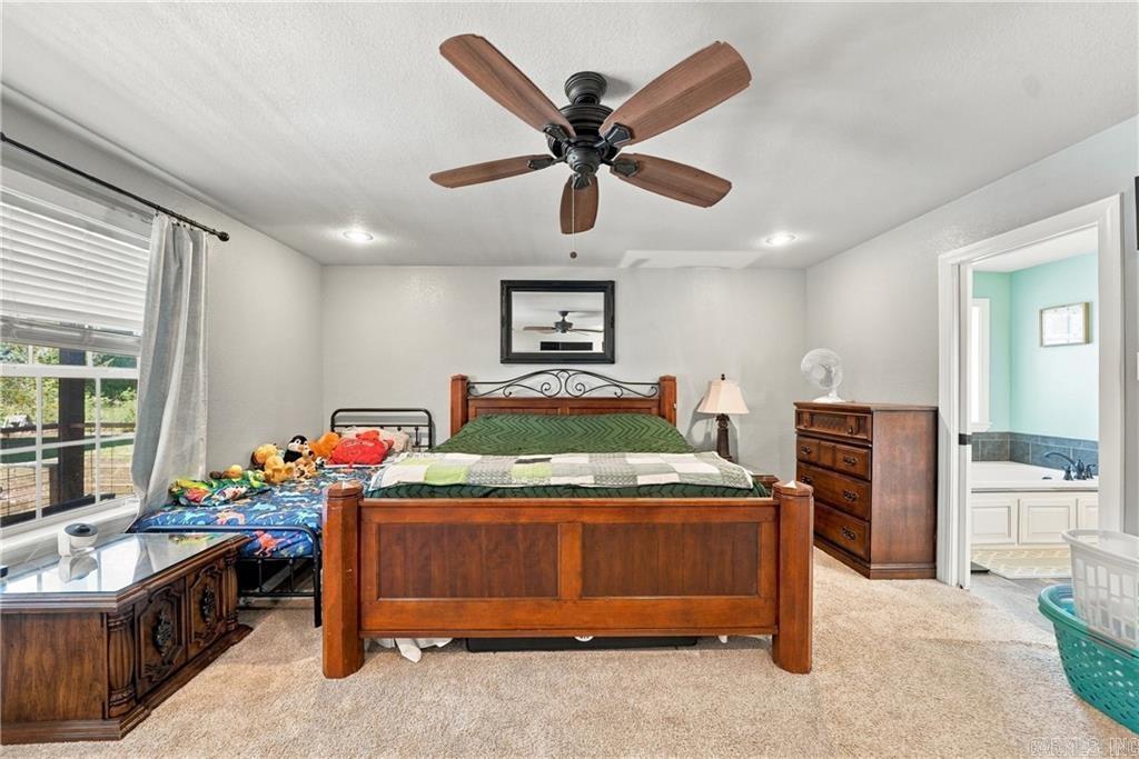 115 Newton Springs  Hector, AR