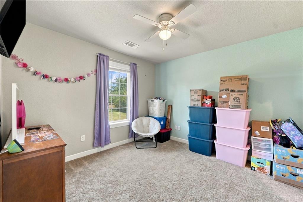 115 Newton Springs  Hector, AR