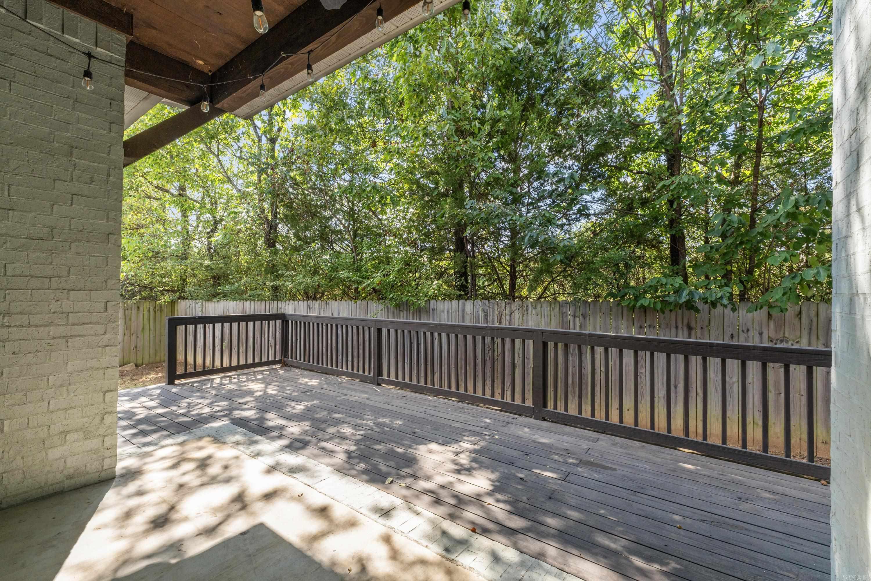 5230 Barn Owl  Conway, AR