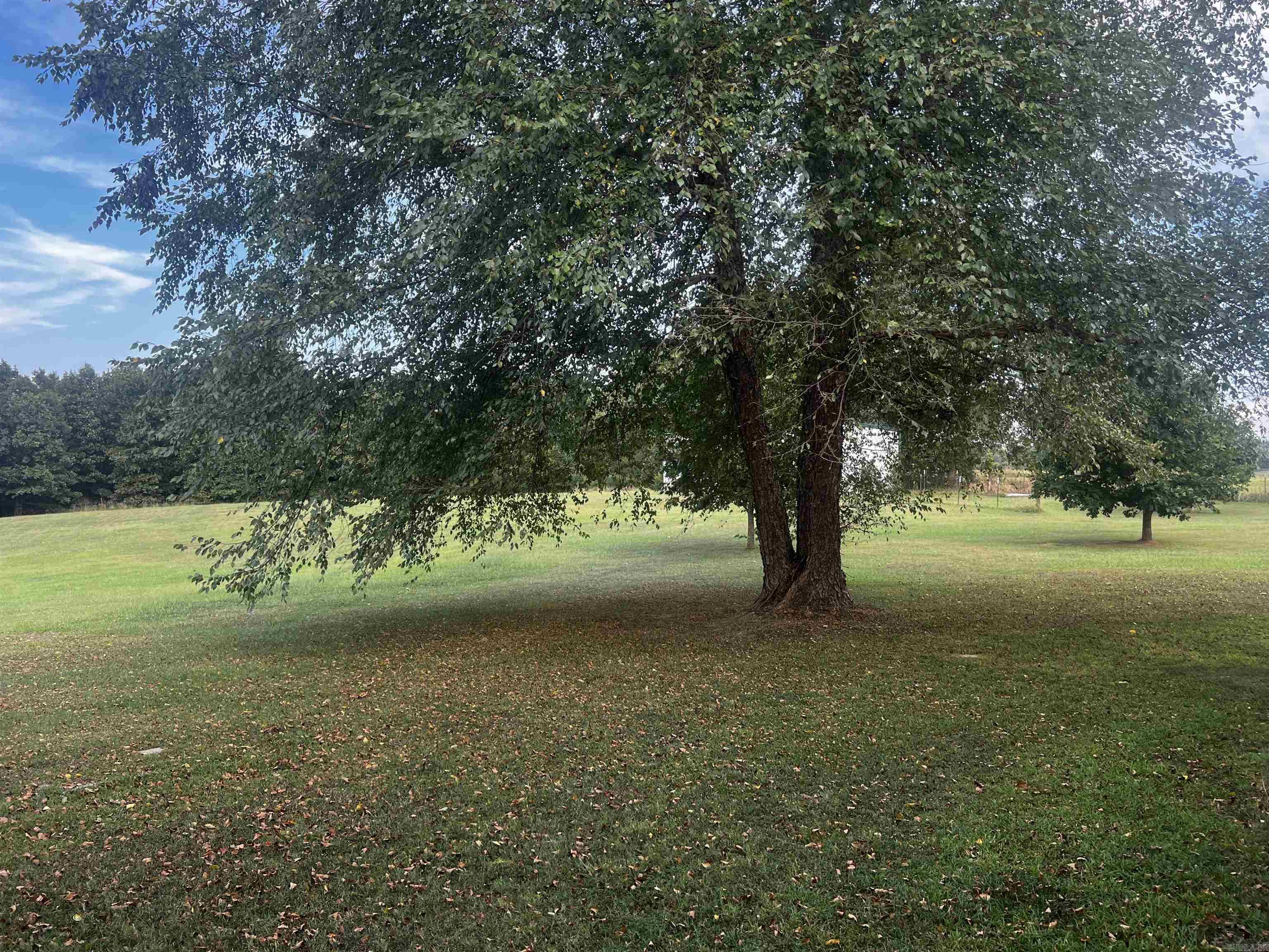 715 River Bluff Road  Heber Springs, AR