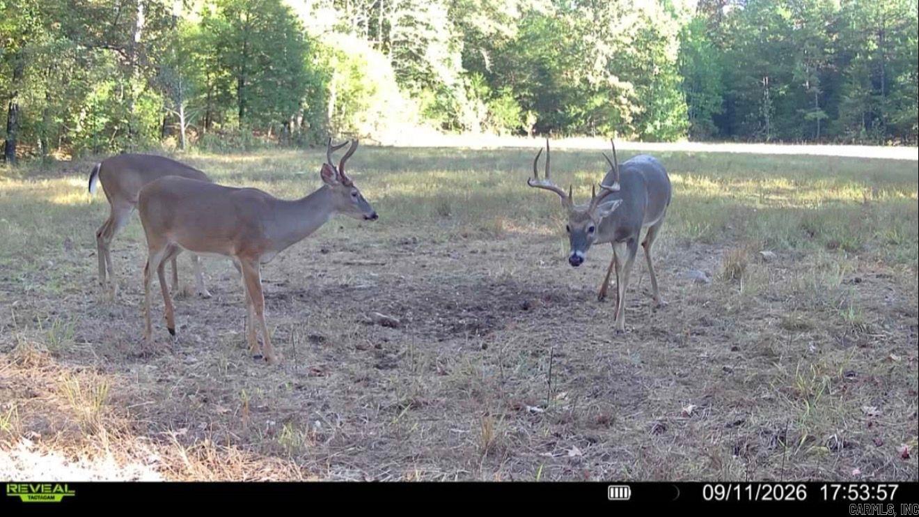 106 W PROSPERITY RD  Poughkeepsie, AR