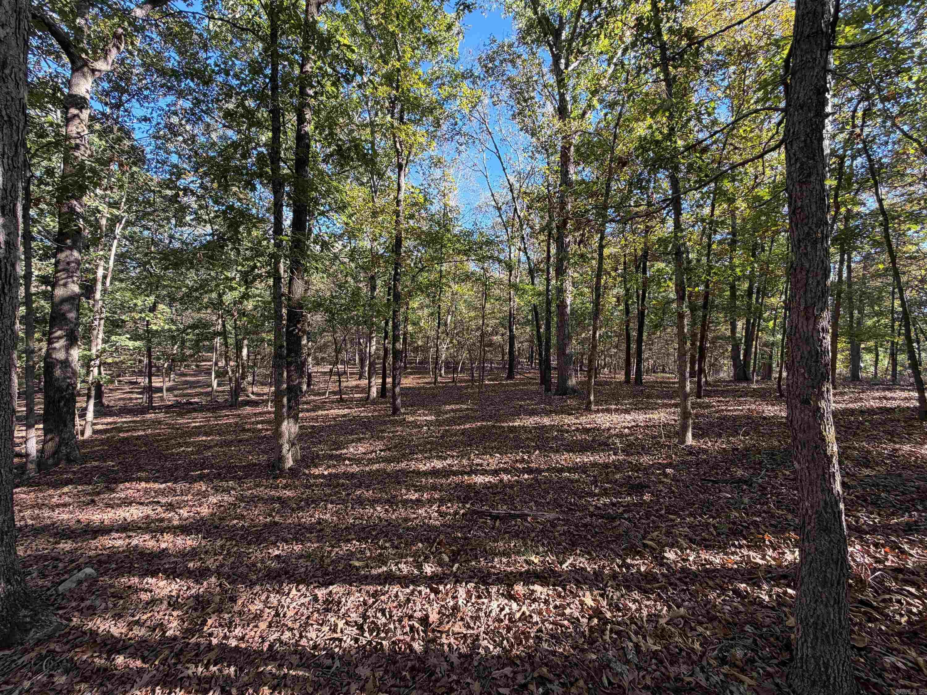 106 W PROSPERITY RD  Poughkeepsie, AR