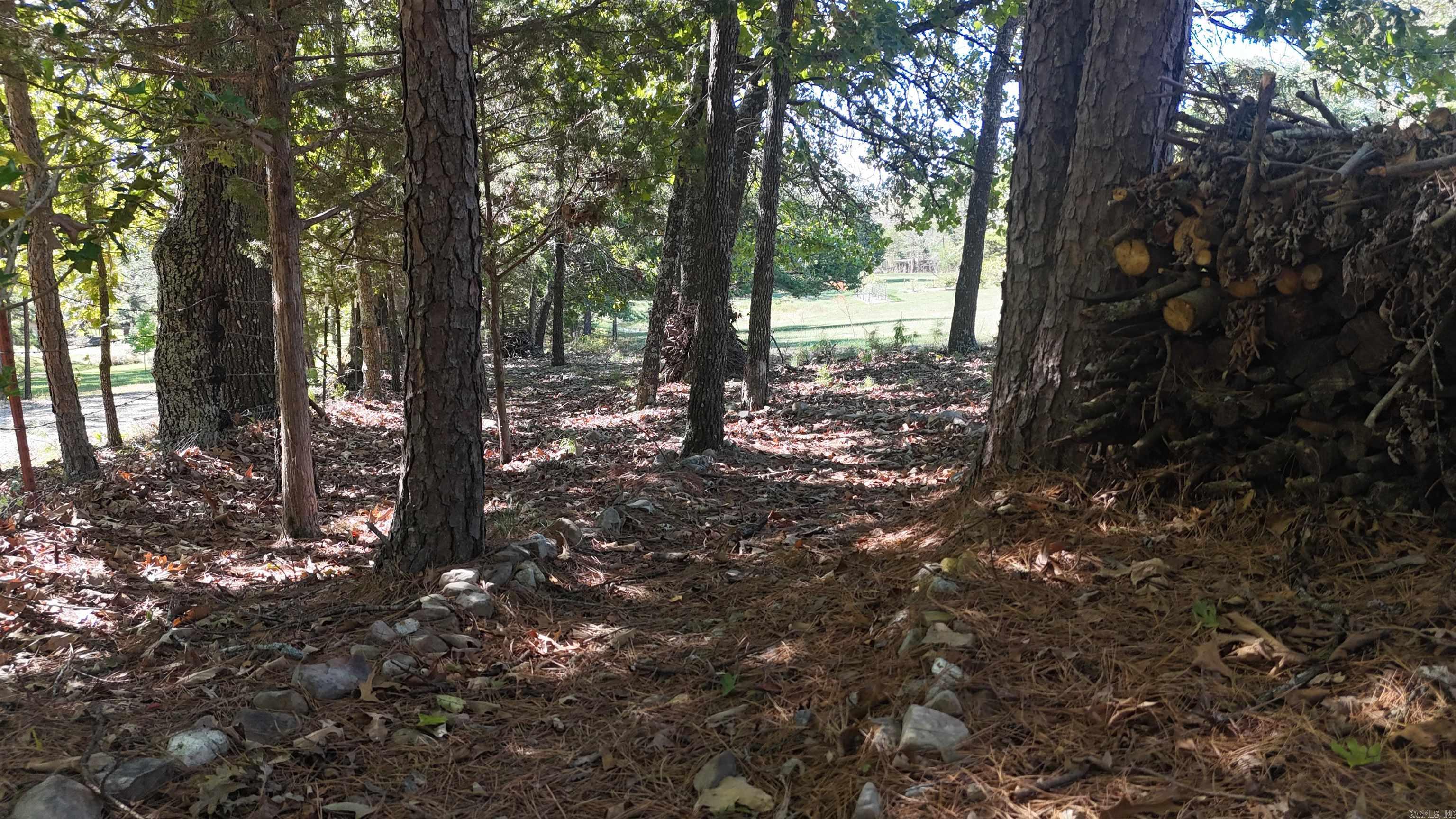 1507 Ransom Road Mena, AR 71953