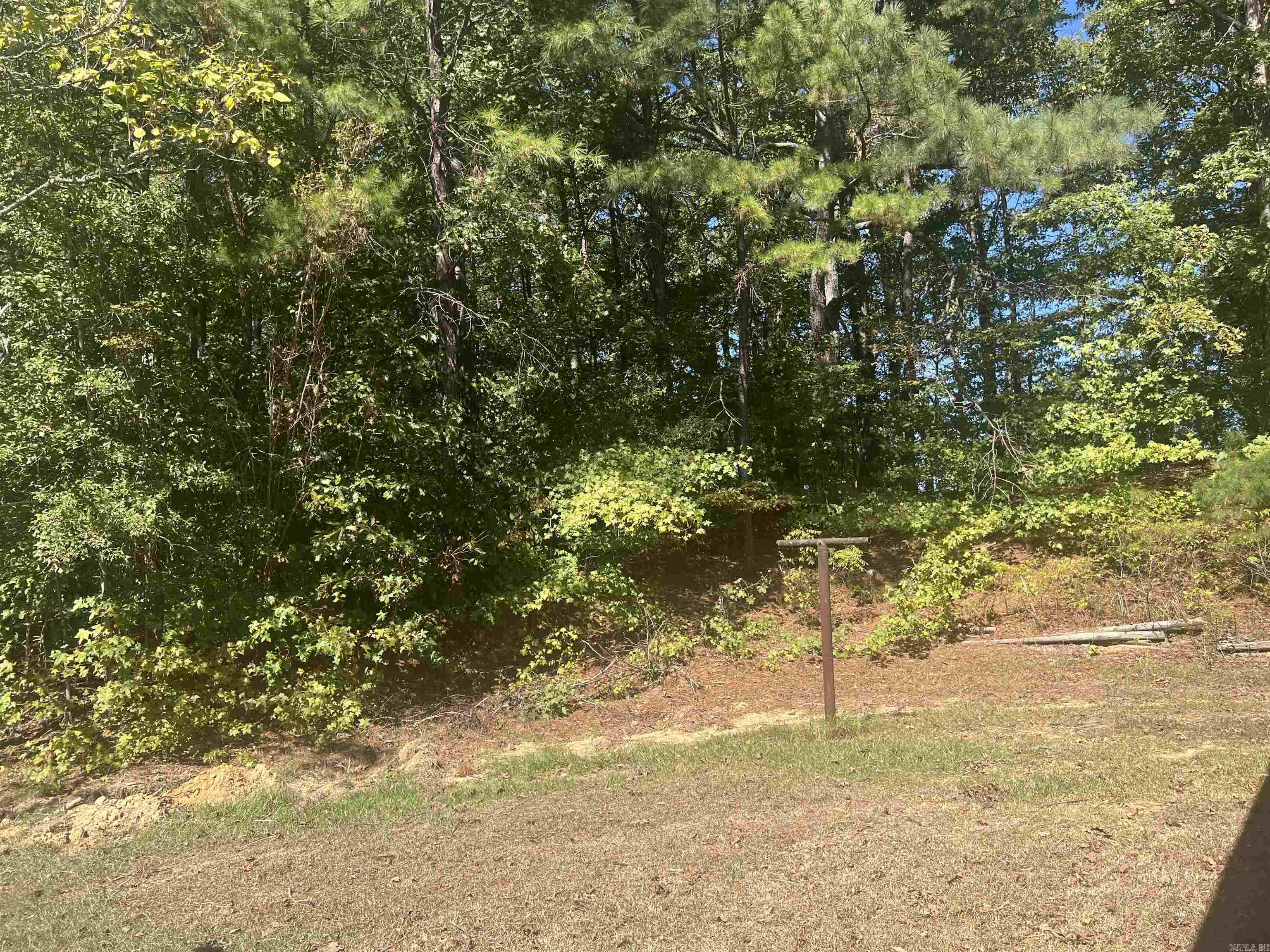 53 Delton McCauley  Kirby, AR