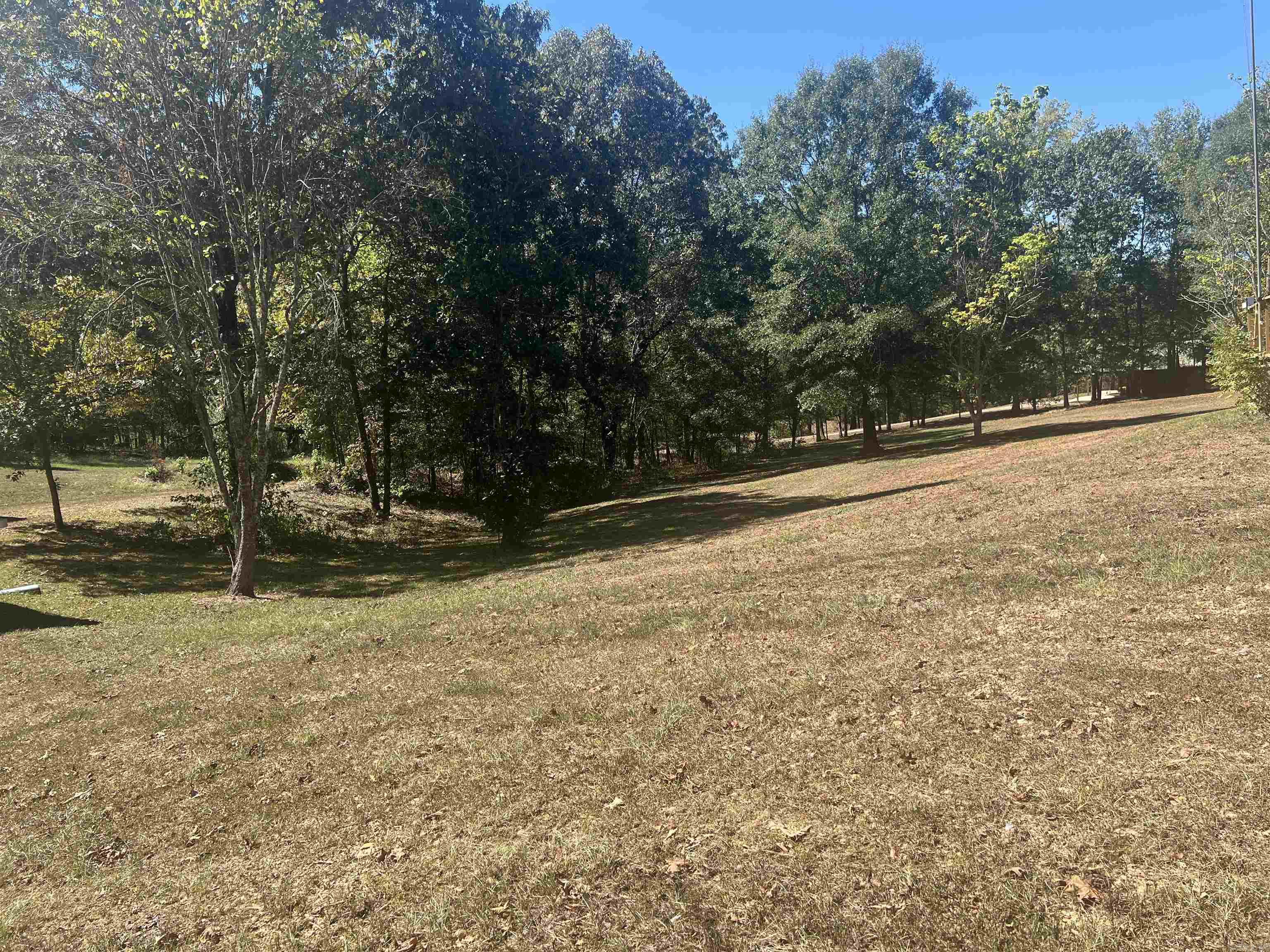 53 Delton McCauley  Kirby, AR