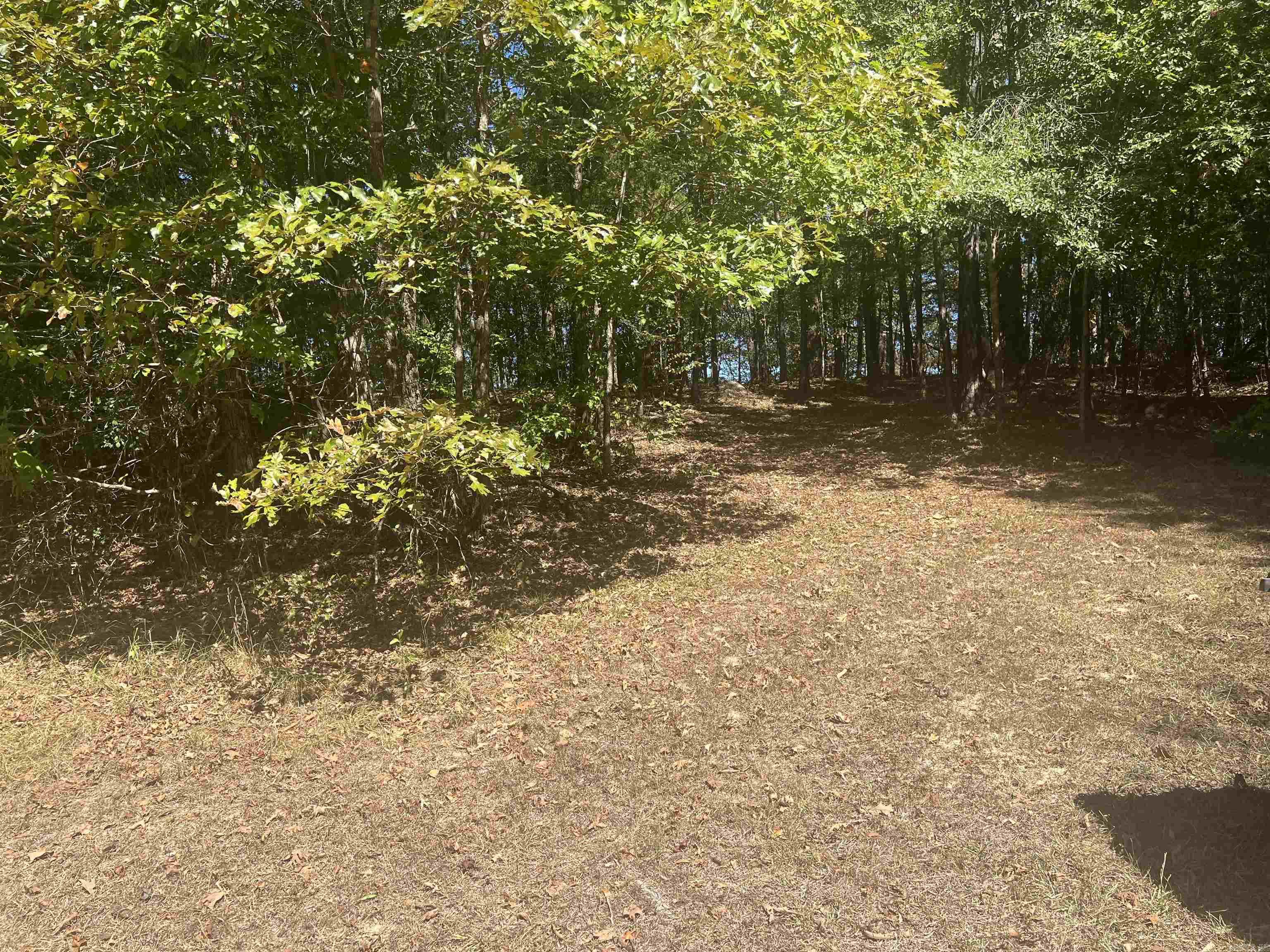 53 Delton McCauley  Kirby, AR