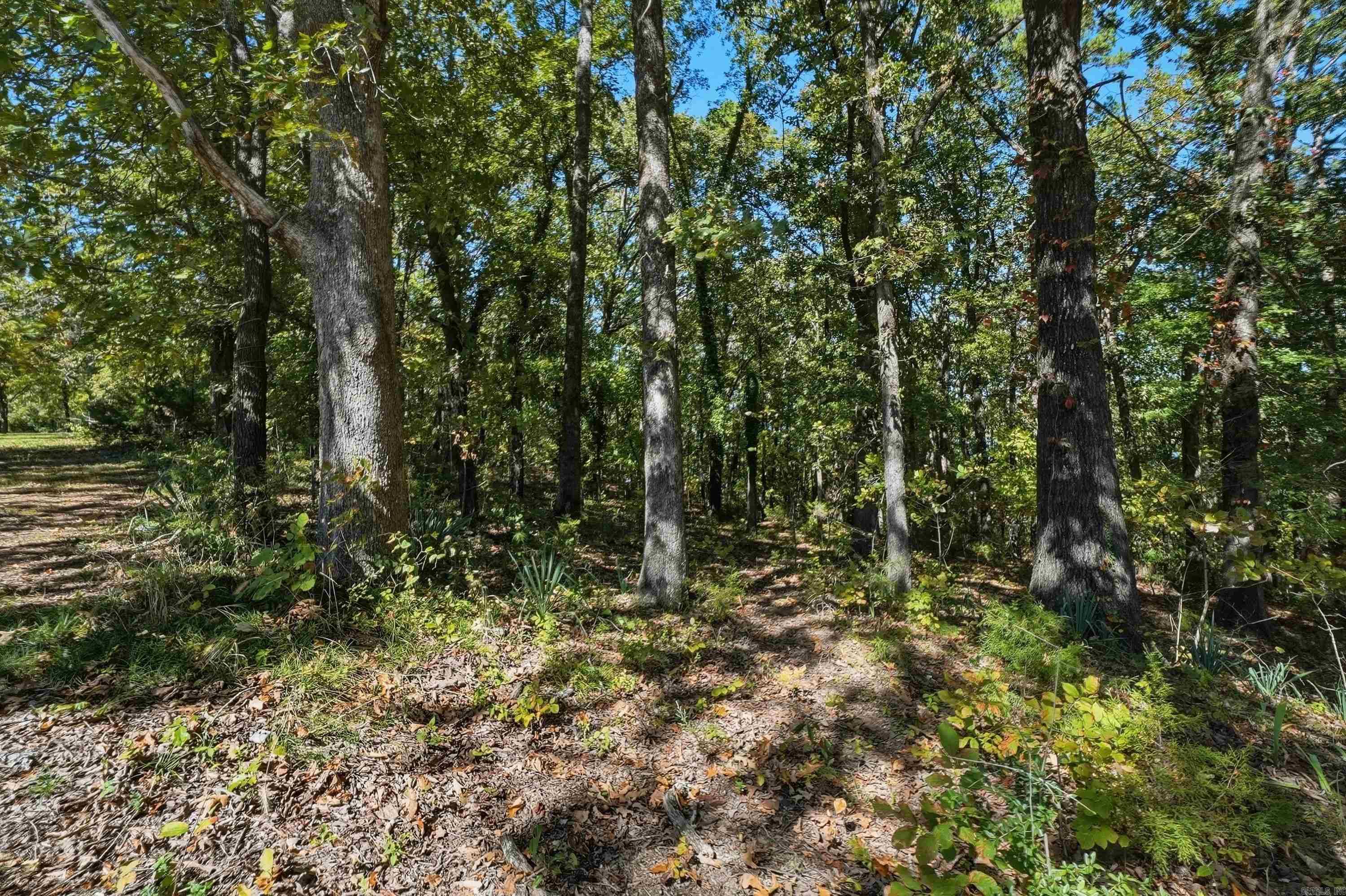 25 Beloit Dr  Heber Springs, AR