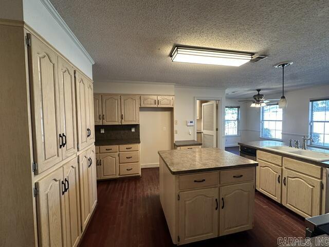 515 Cheshier Court  Jacksonville, AR