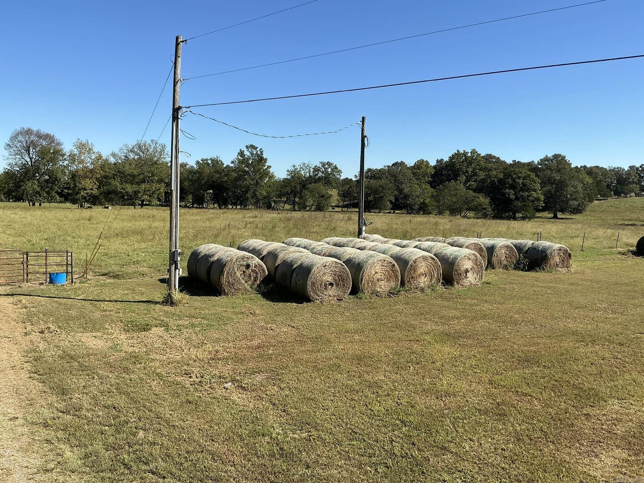1512 SHELTON  Bee Branch, AR