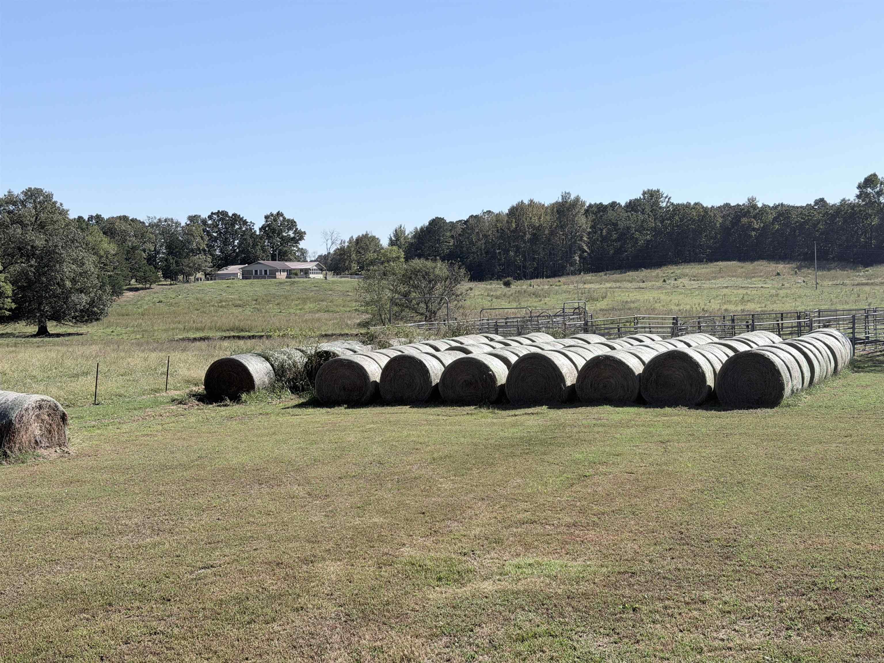 1512 SHELTON  Bee Branch, AR