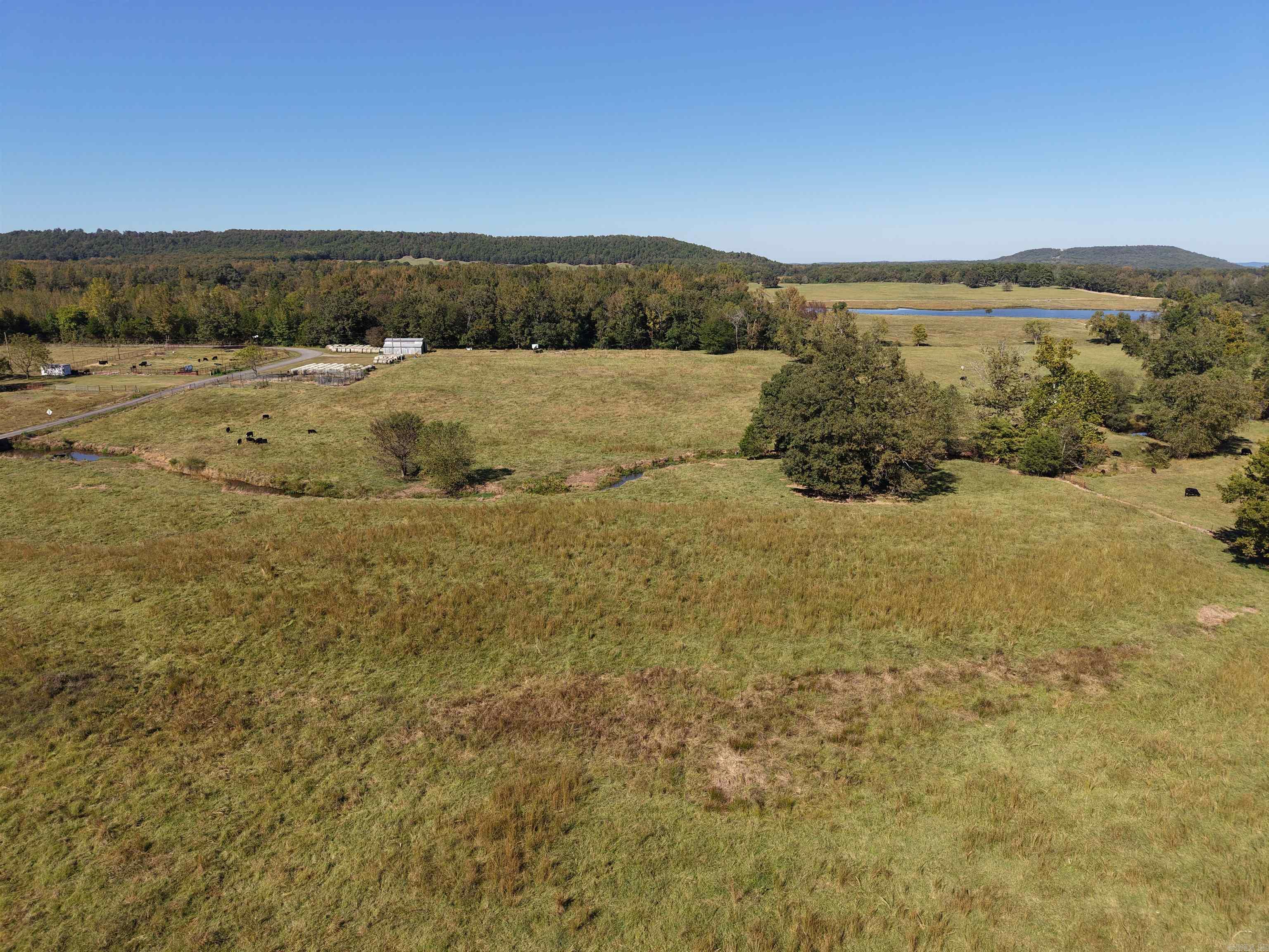 1512 SHELTON  Bee Branch, AR