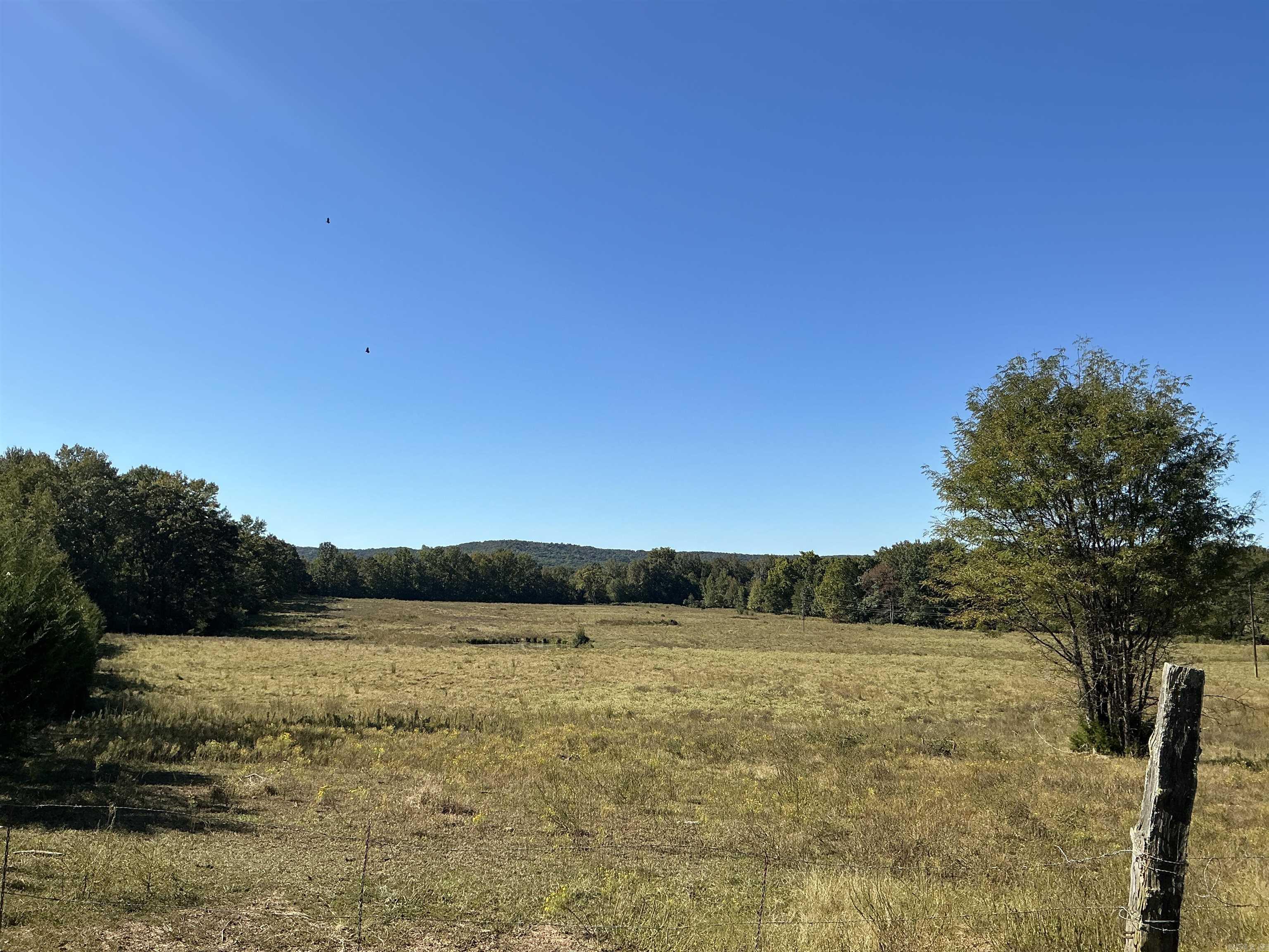 1512 SHELTON  Bee Branch, AR