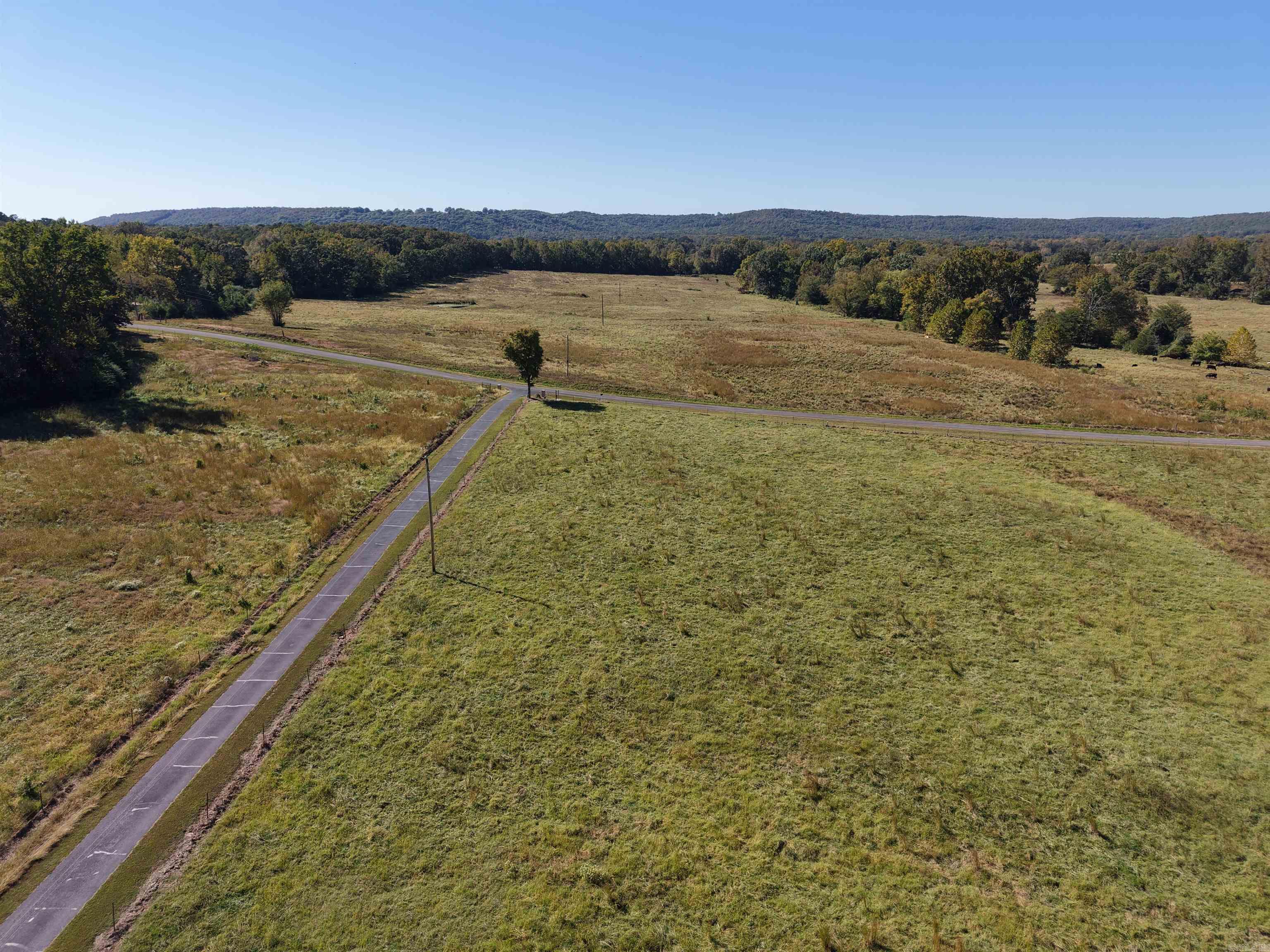 1512 SHELTON  Bee Branch, AR