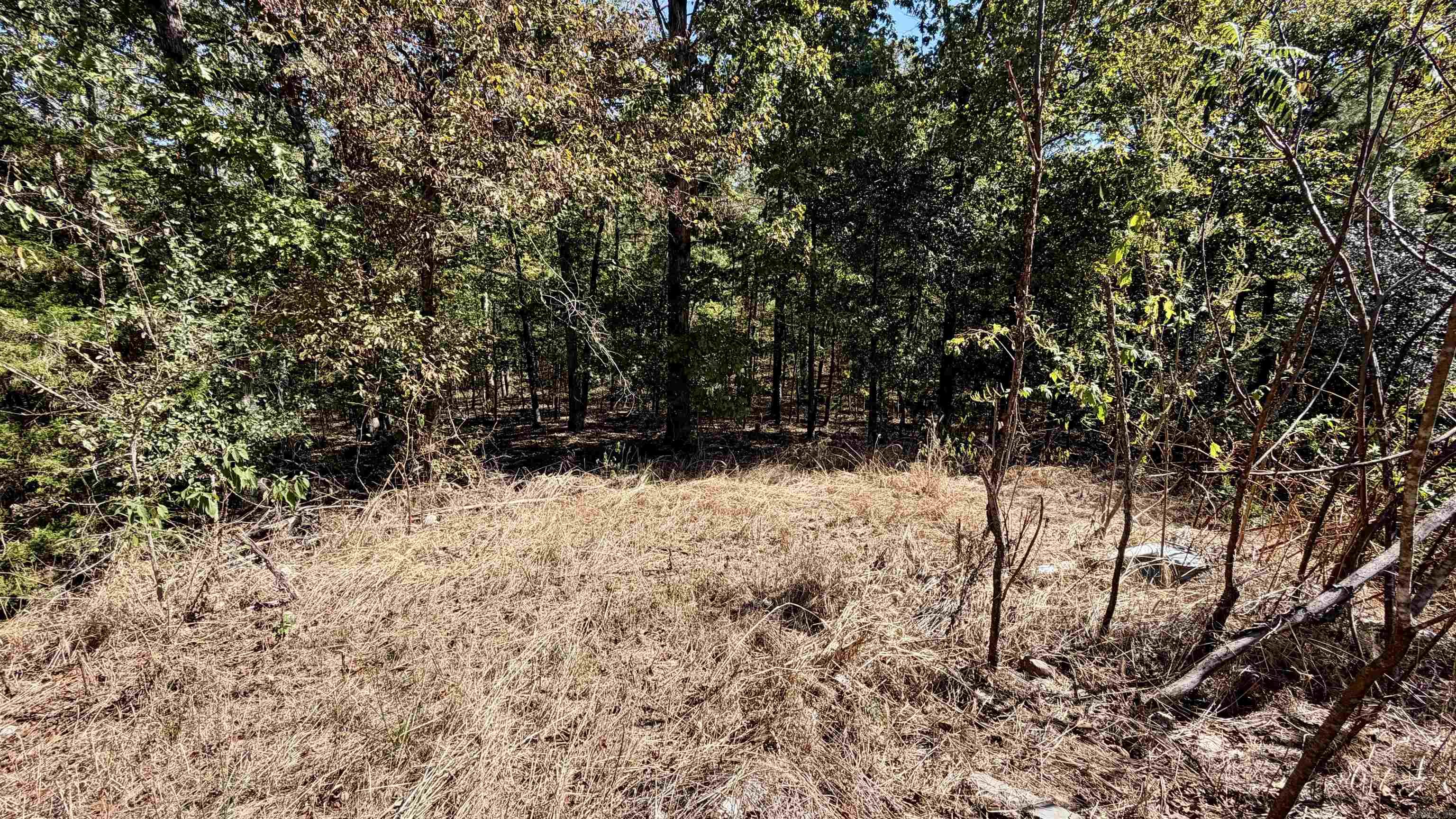 265 Emily Grace  Mountain Pine, AR
