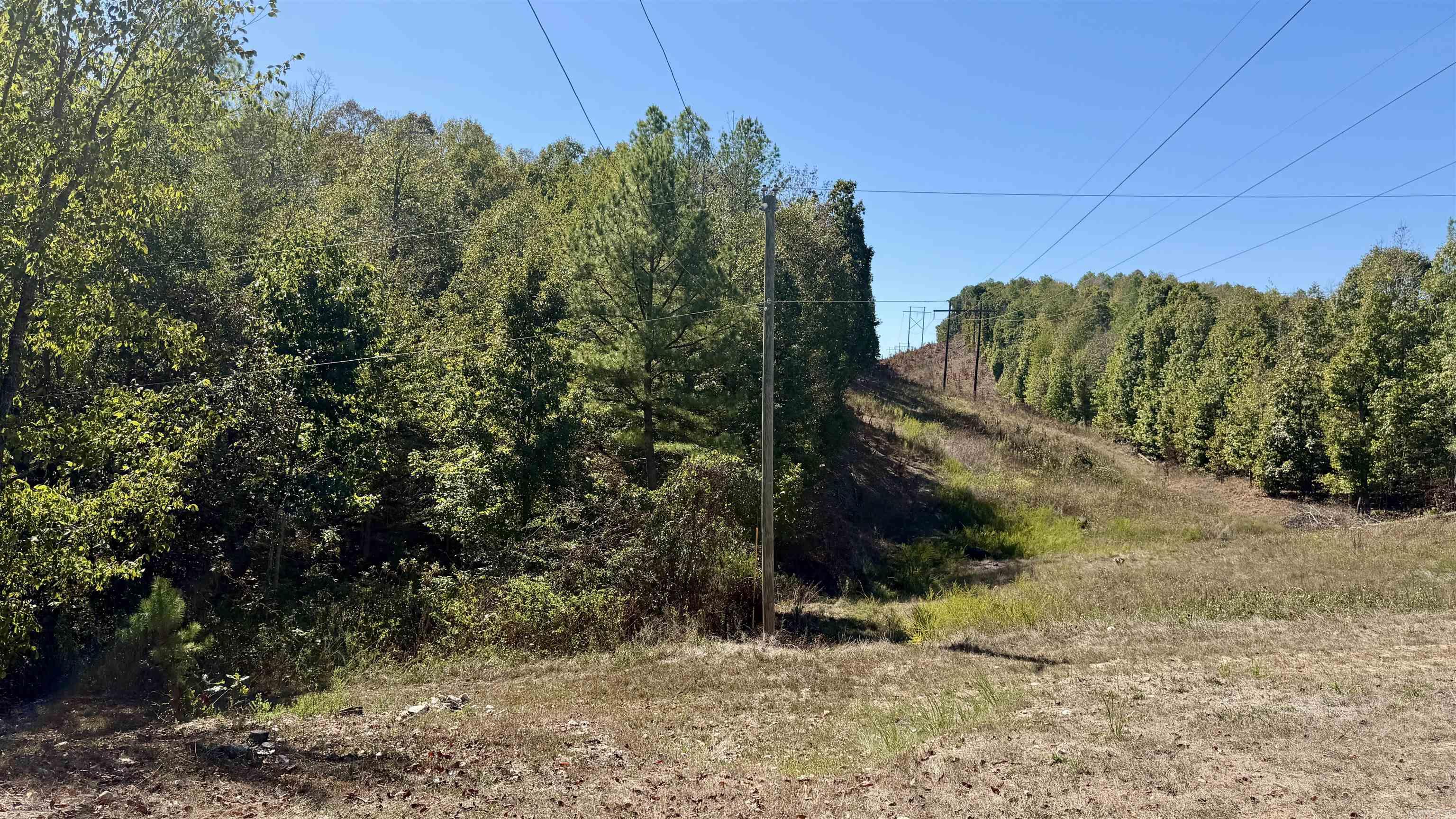 265 Emily Grace  Mountain Pine, AR
