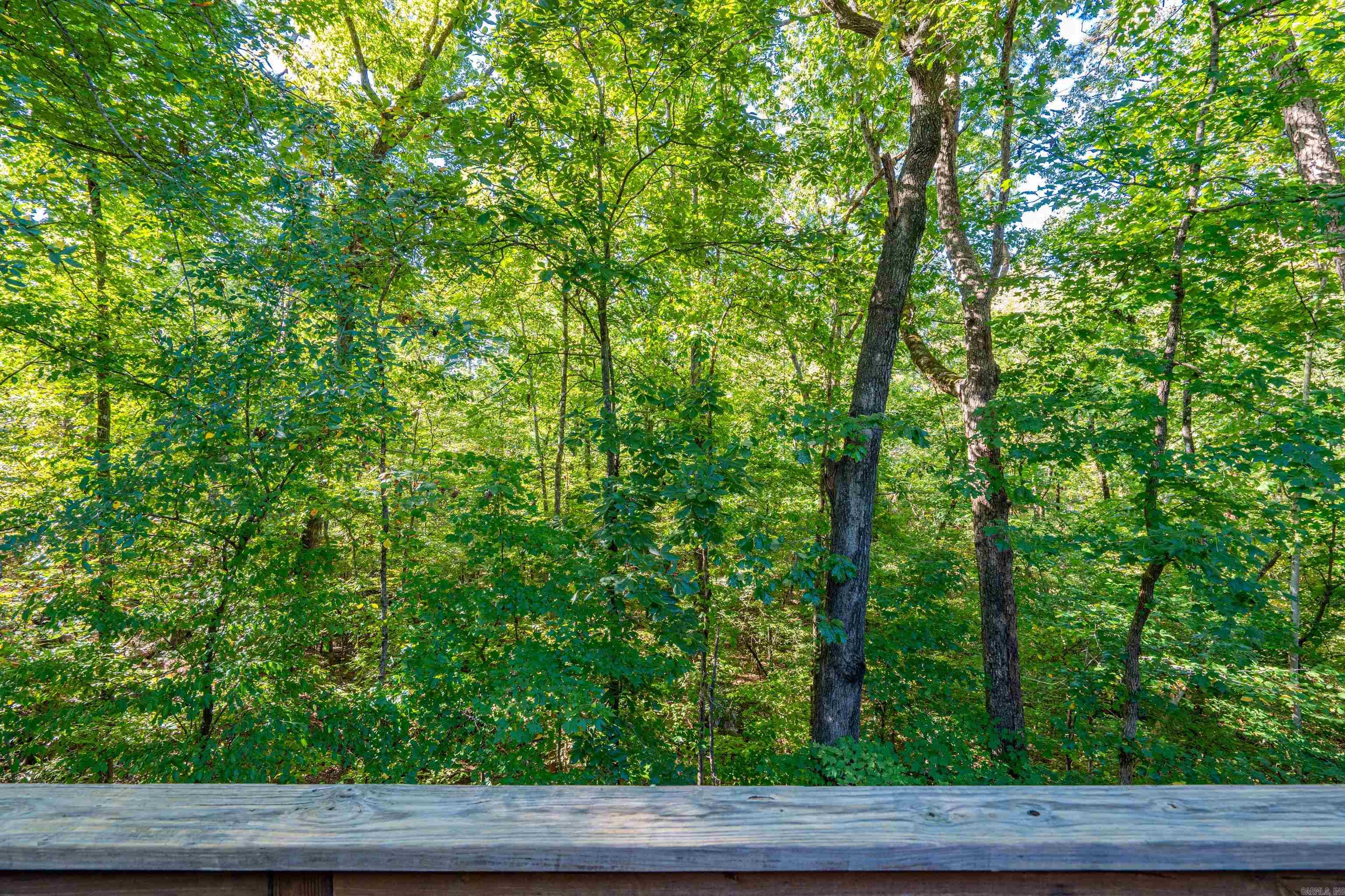 14 Orantes  Hot Springs Village, AR