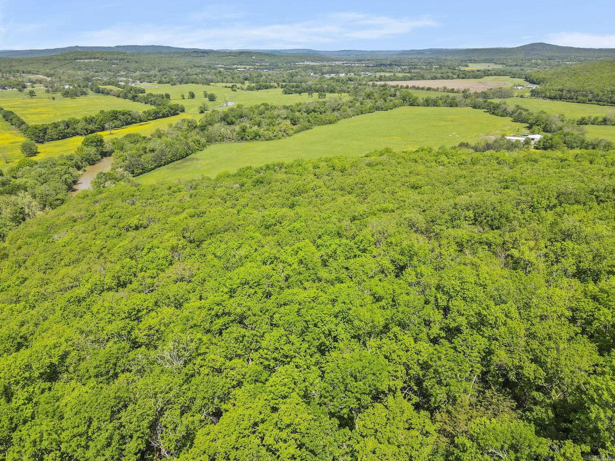 10836 Bray  Elkins, AR