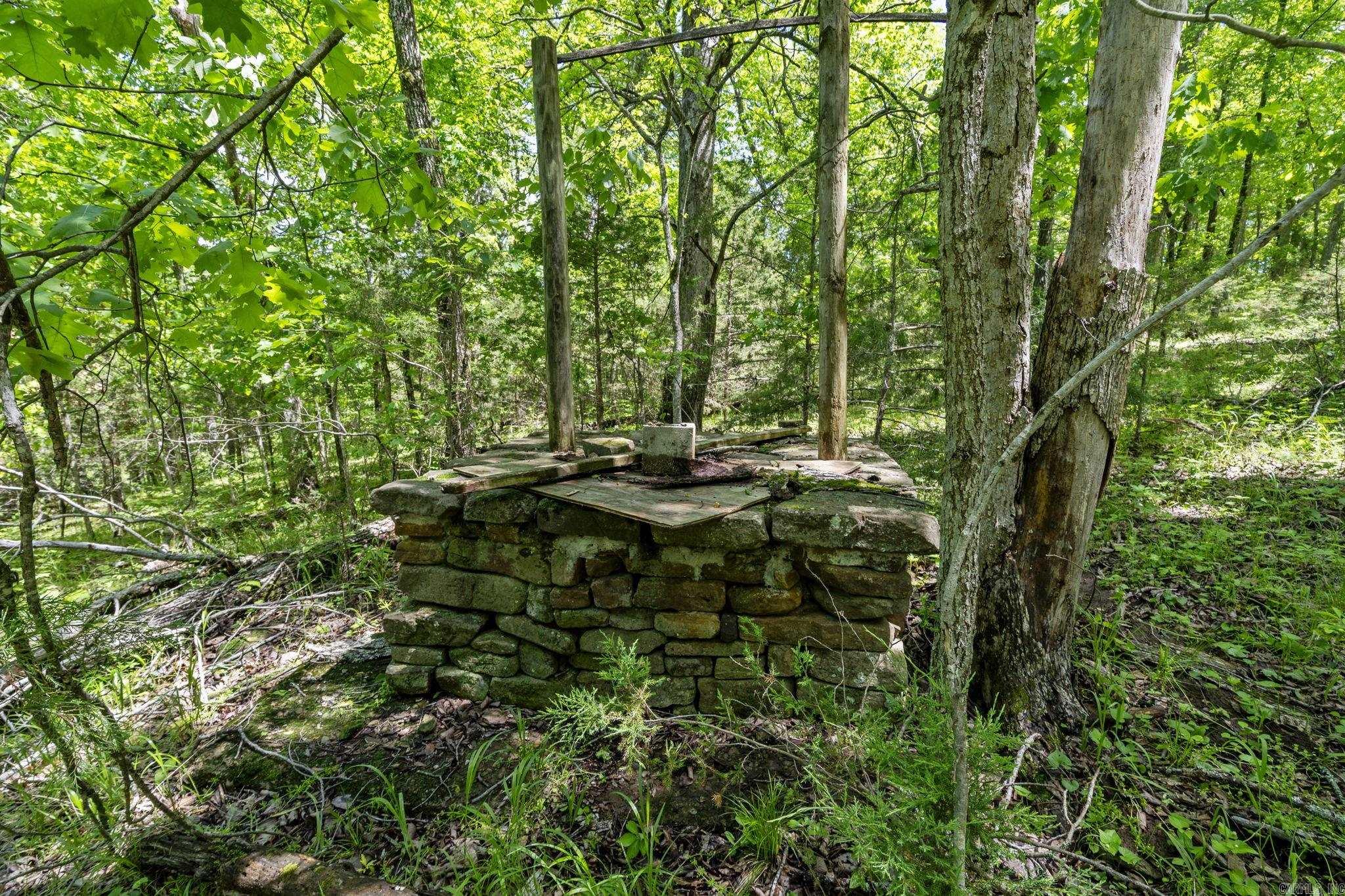 TBD Bray  Elkins, AR