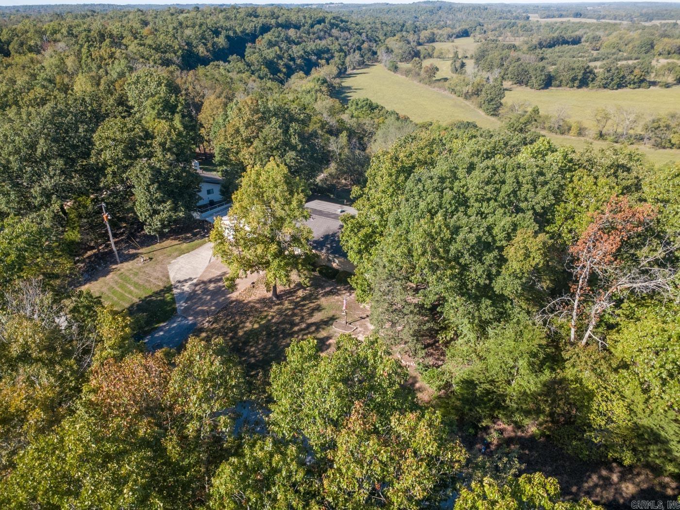 1319 Riverview Dr  Horseshoe Bend, AR