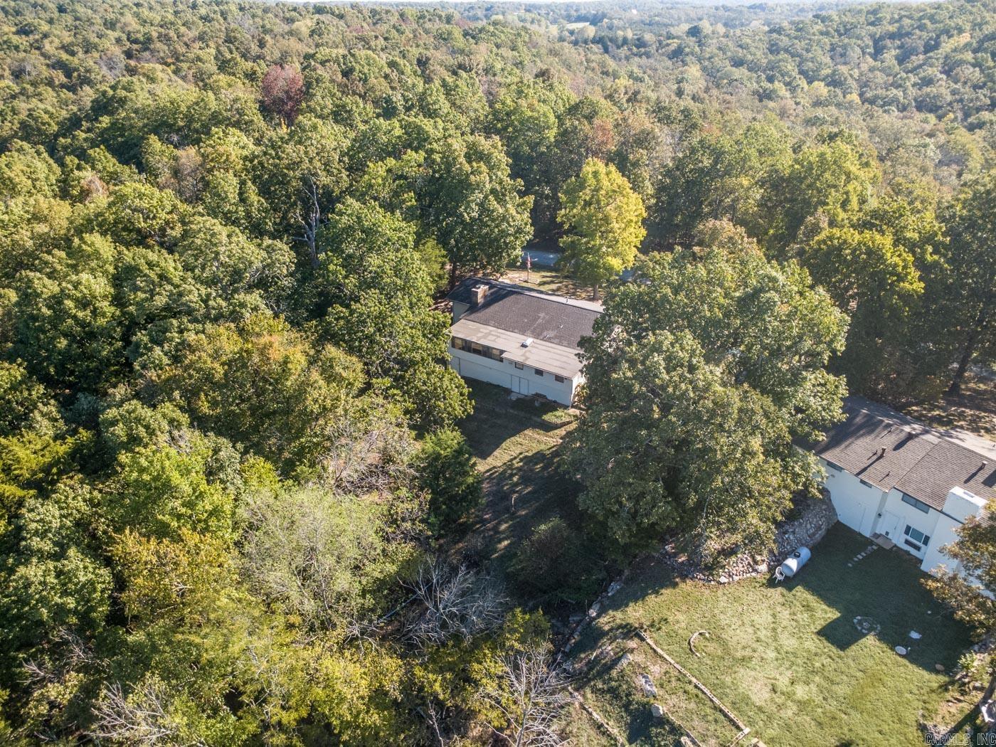 1319 Riverview Dr  Horseshoe Bend, AR