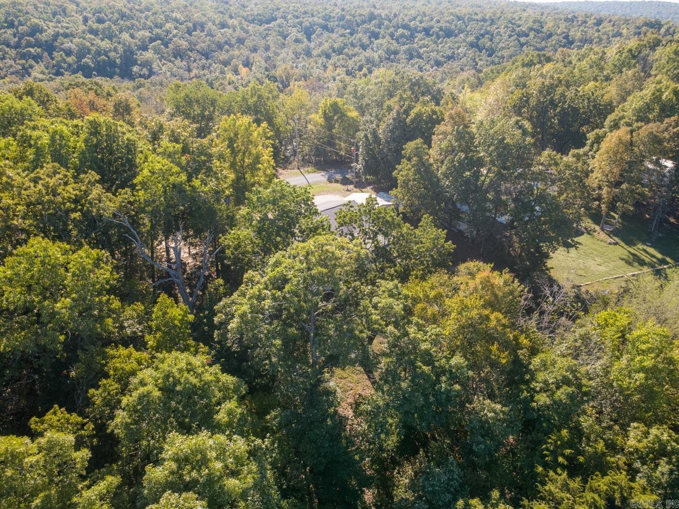 1319 Riverview Dr  Horseshoe Bend, AR